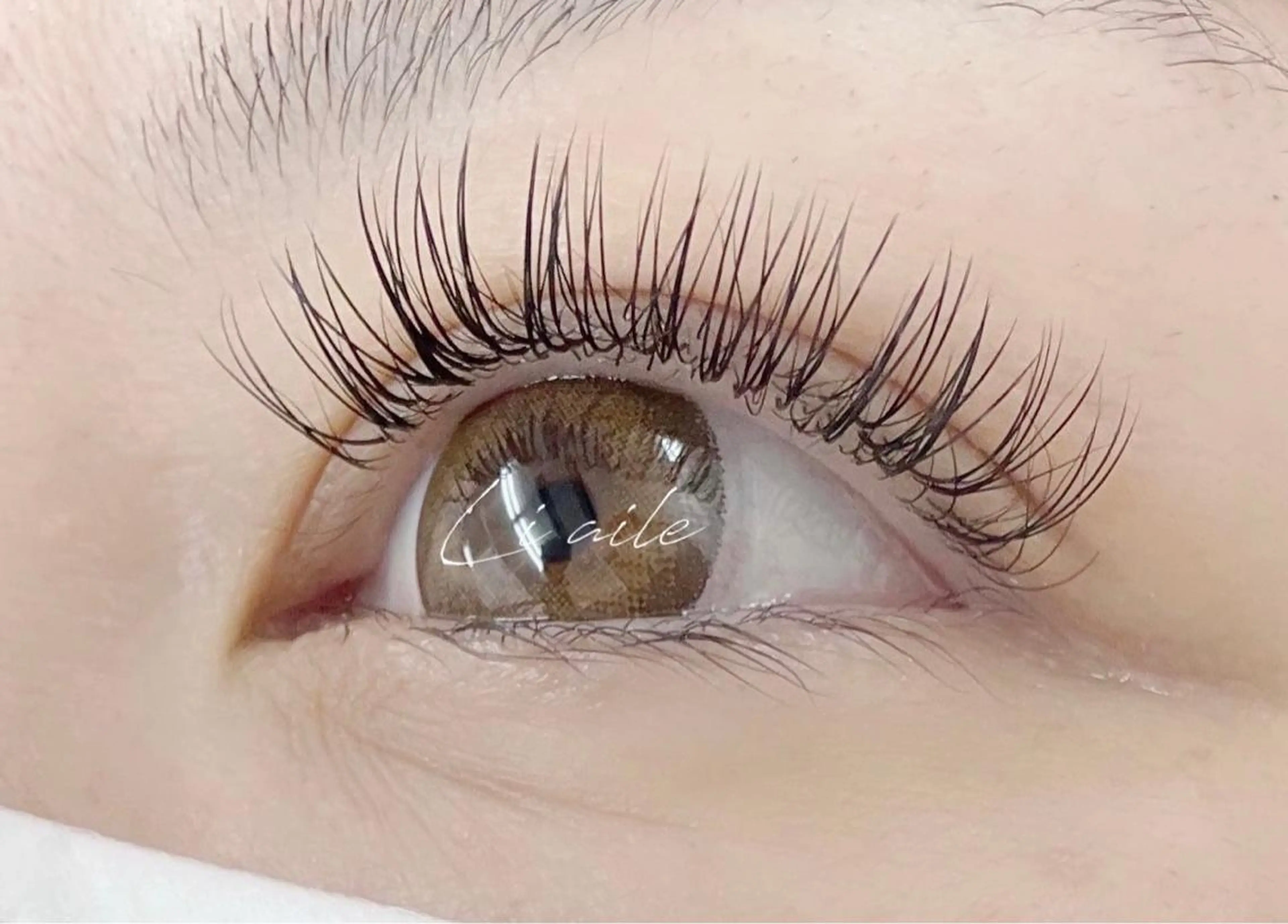 マツエク・マツパ Li aile eye&nailのマツエク・マツパデザイン