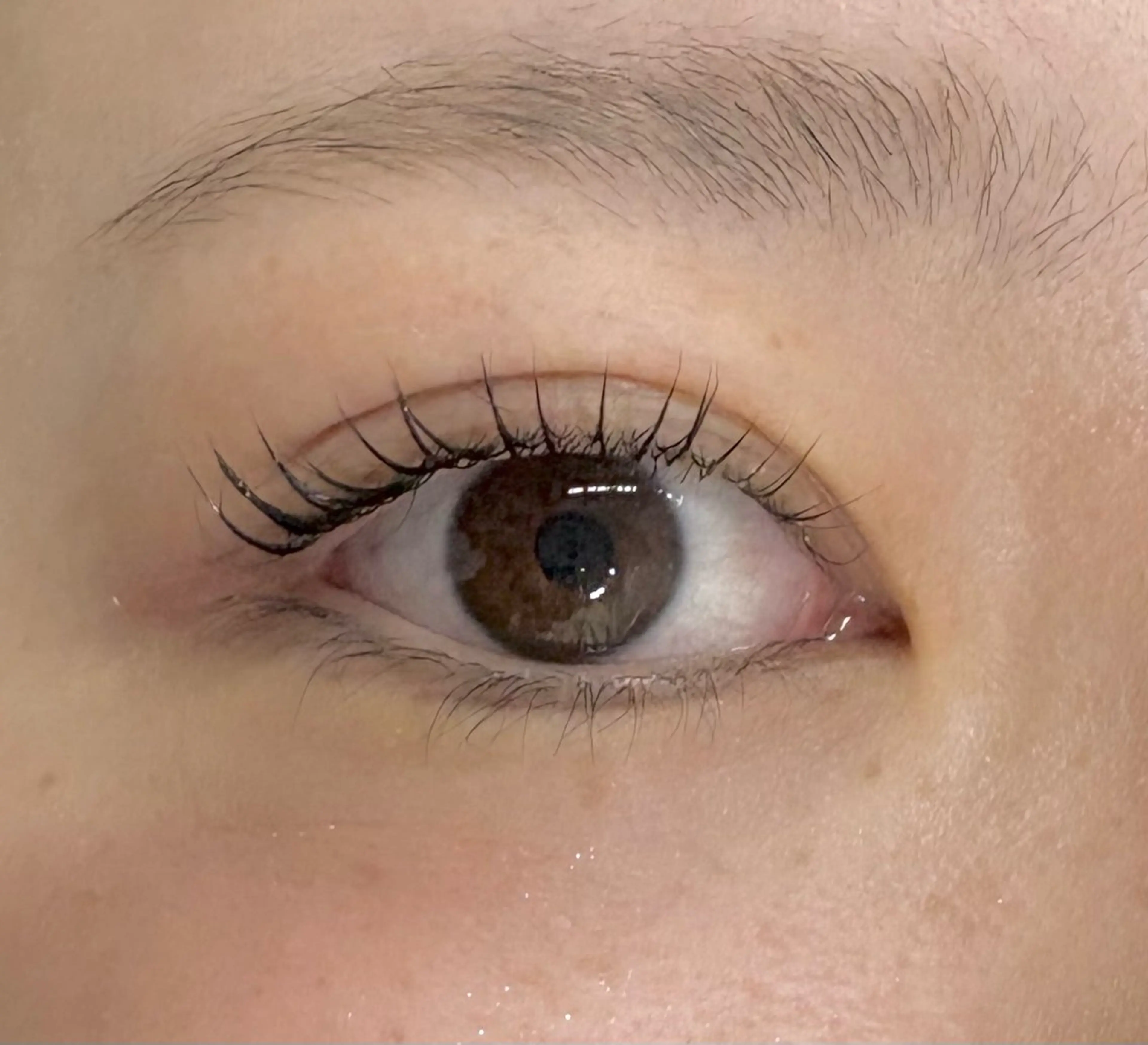 マツエク・マツパ Holus Moriguchiのマツエク・マツパデザイン