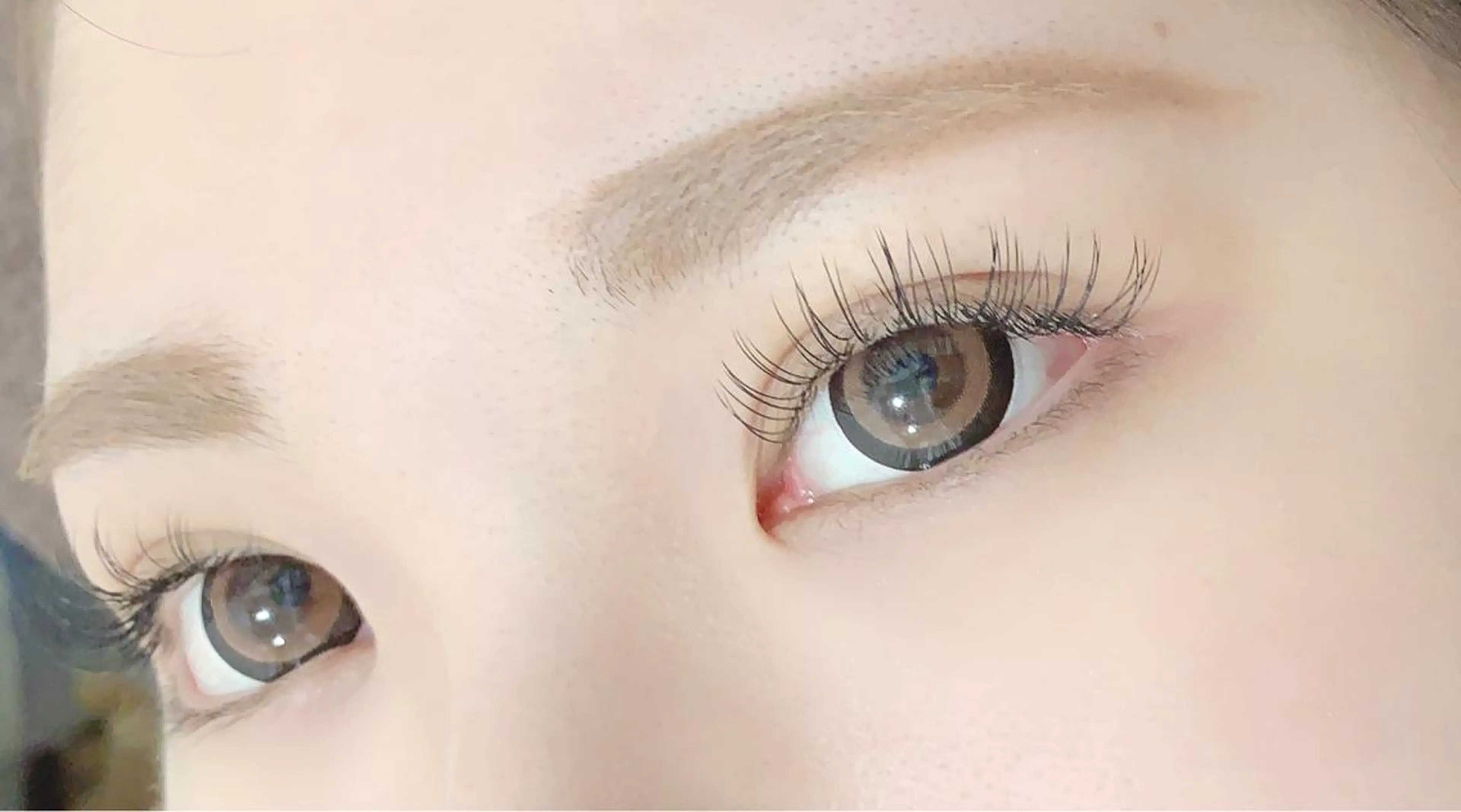 🌼再ご来店感謝🌼上まつ毛140本以上無制限付け放題の写真