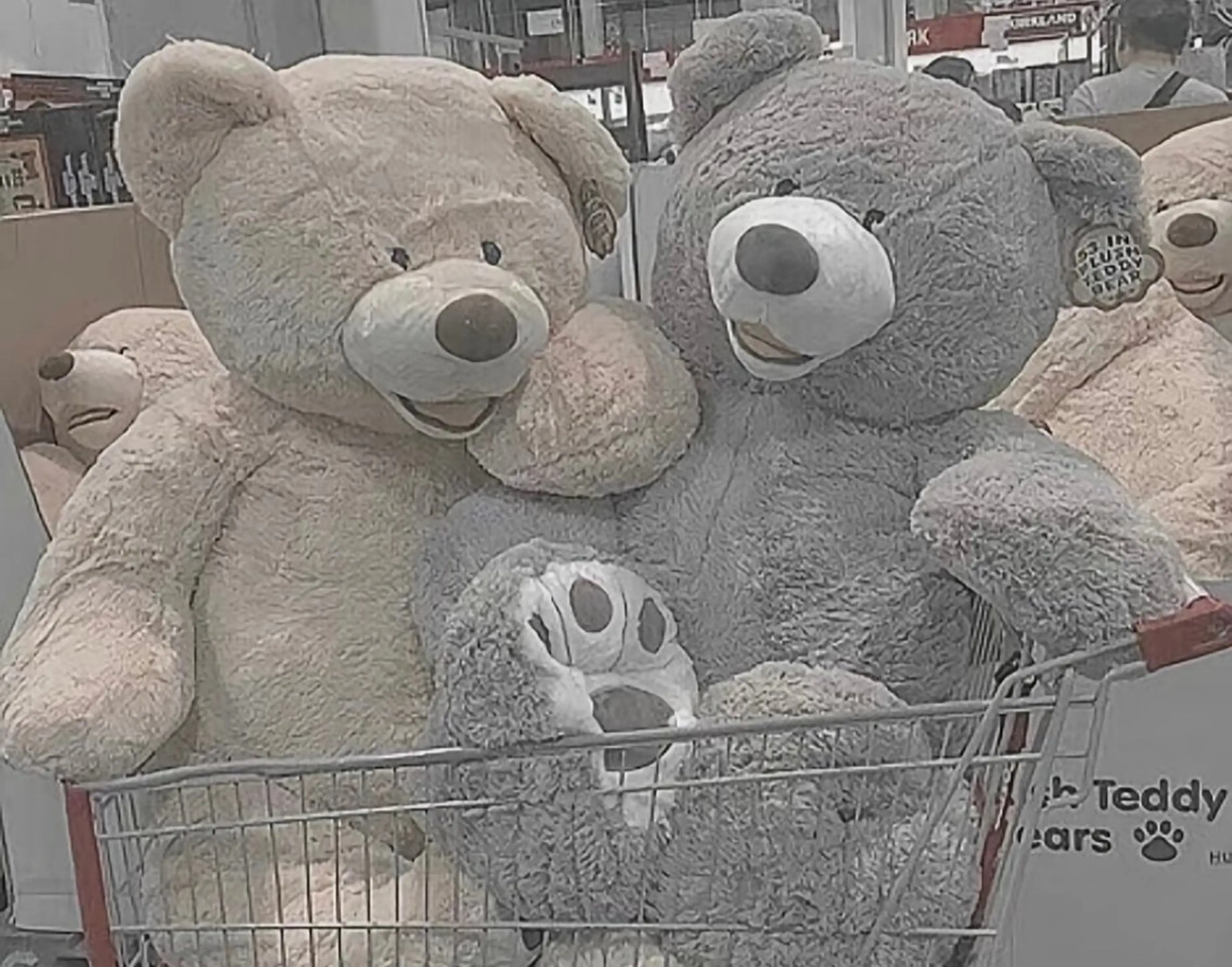 Neige 𓂃 aiのネイルデザイン