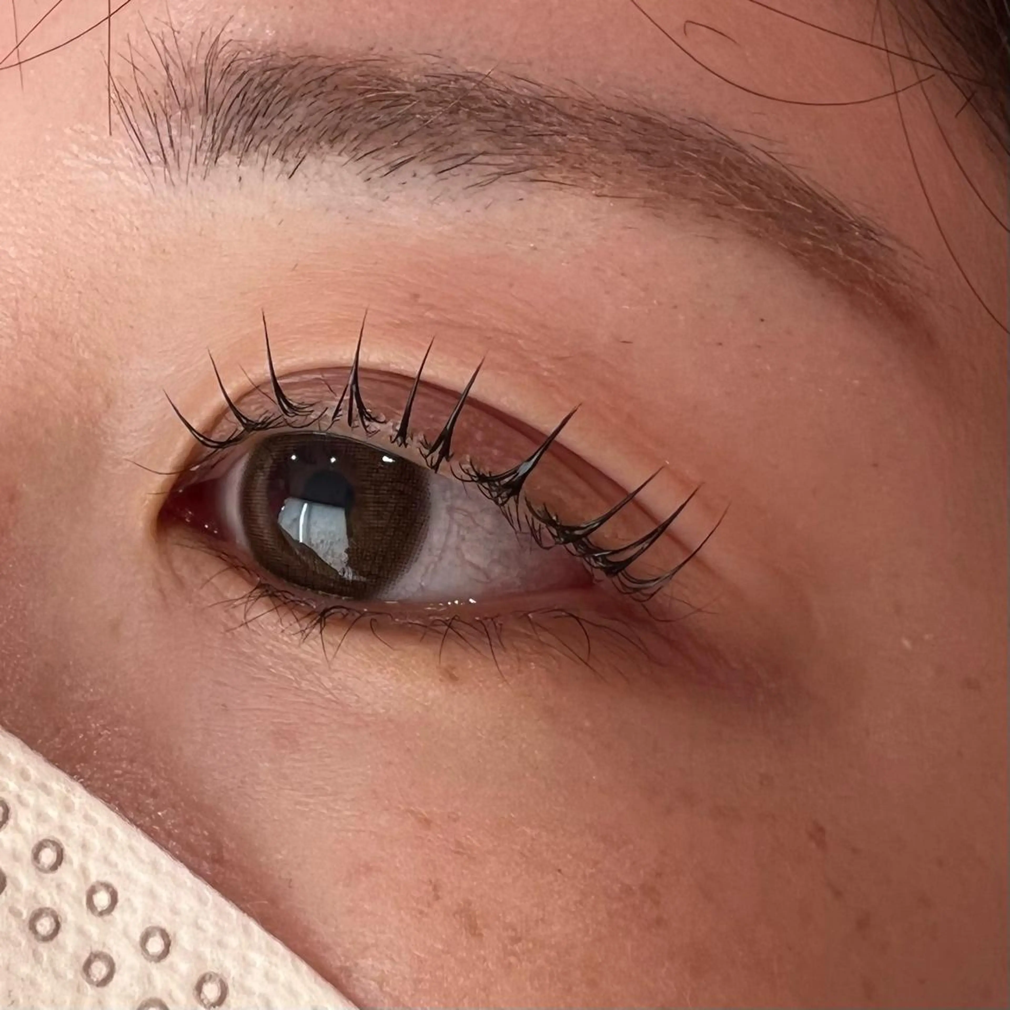 マツエク・マツパ パリジェンヌラッシュリフト 🧸Celeste Venusのマツエク・マツパデザイン