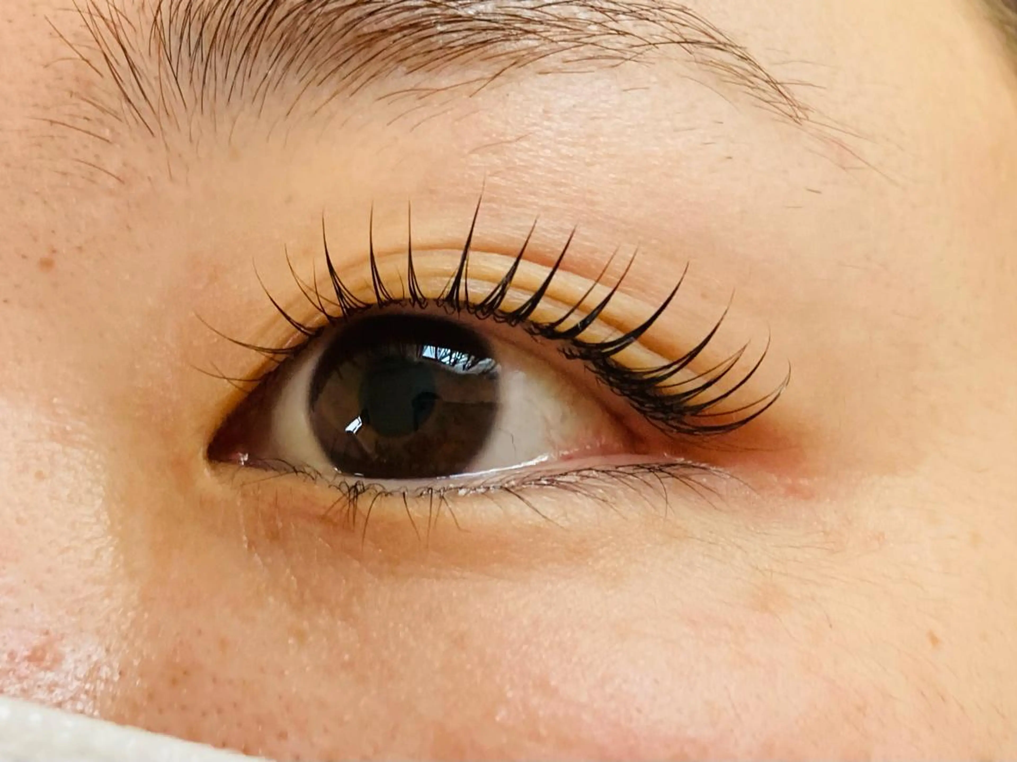 マツエク・マツパ 高橋 都のマツエク・マツパデザイン