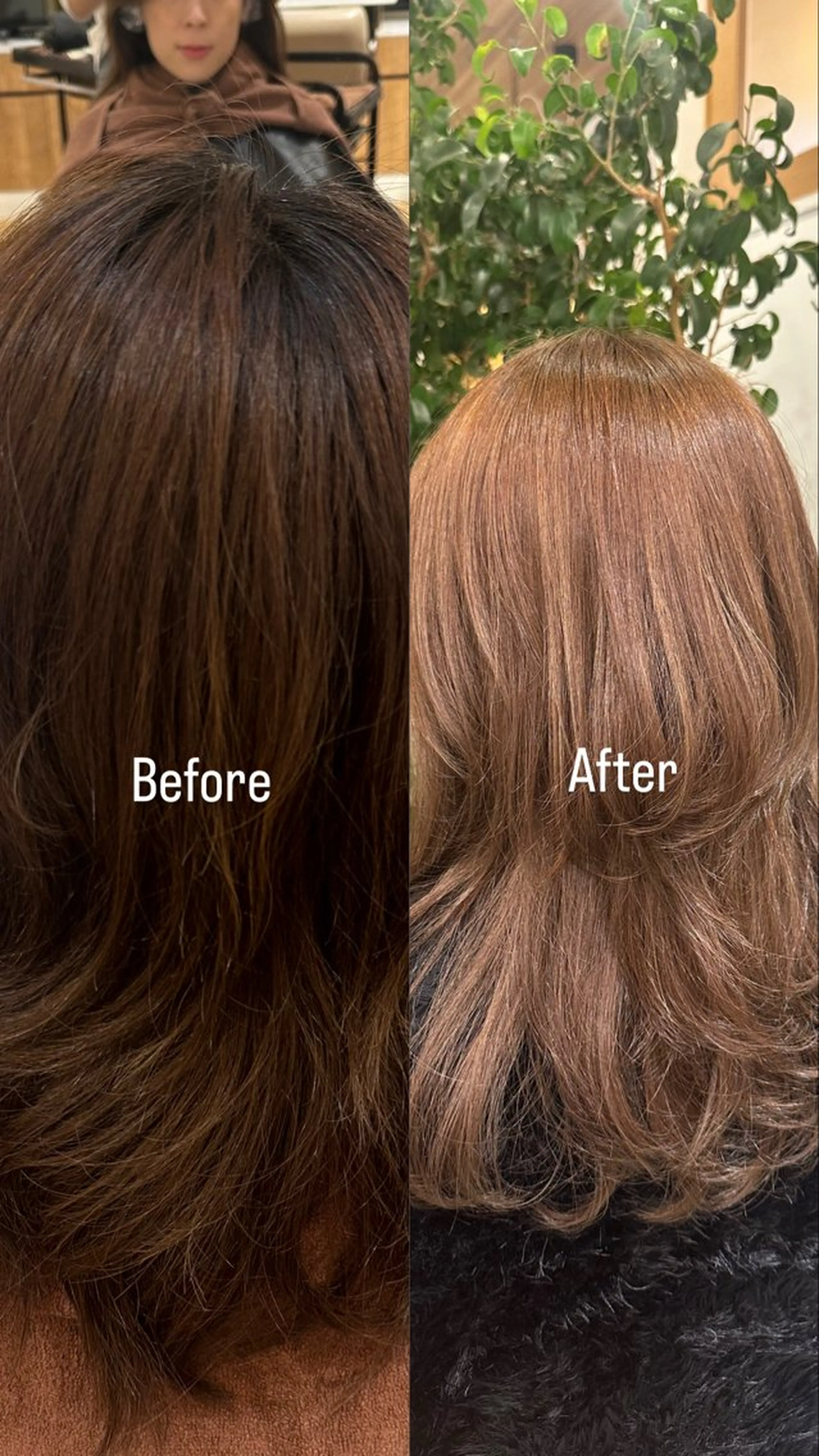 ミディアム カラー ブリーチ ブラウンカラー ブリーチなしカラー ヘアカラー 池見 円花🌷のヘアスタイル