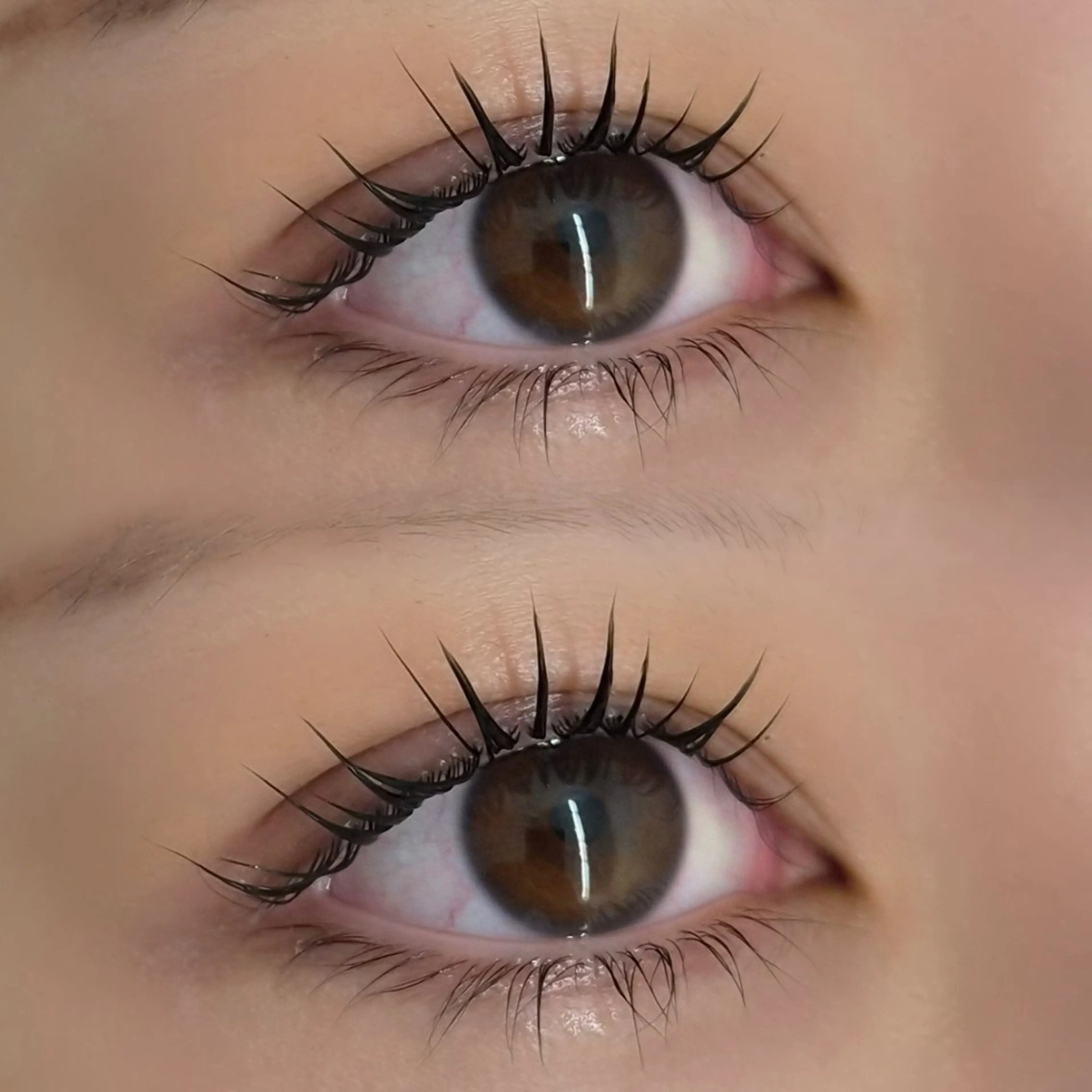 マツエク・マツパ マツパ Re'VIELISS 🦋Manaの眉毛・アイブロウイメージ