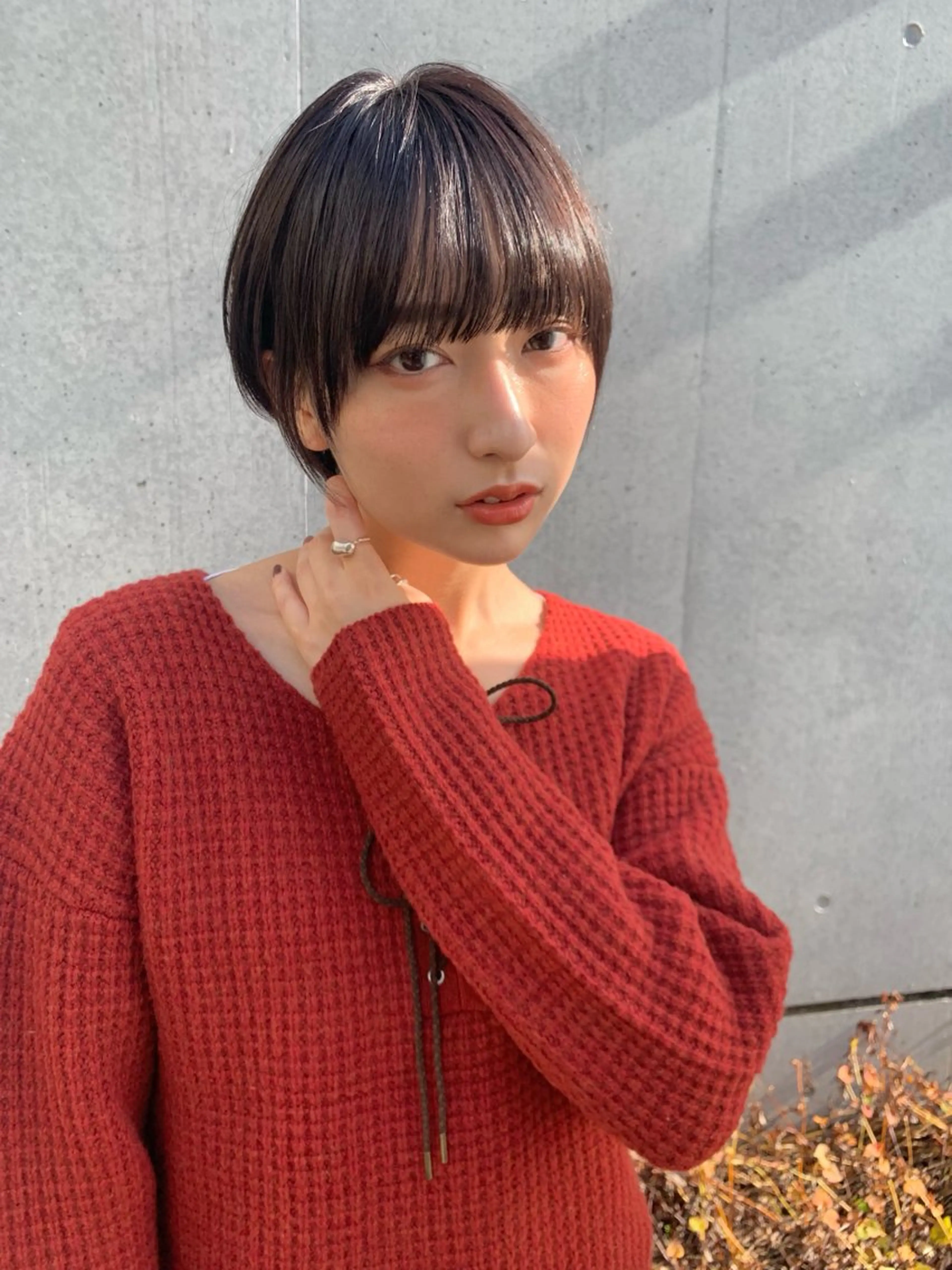 【🌟minimo限定価格🌟】🥕デザインカットカット🥕の写真