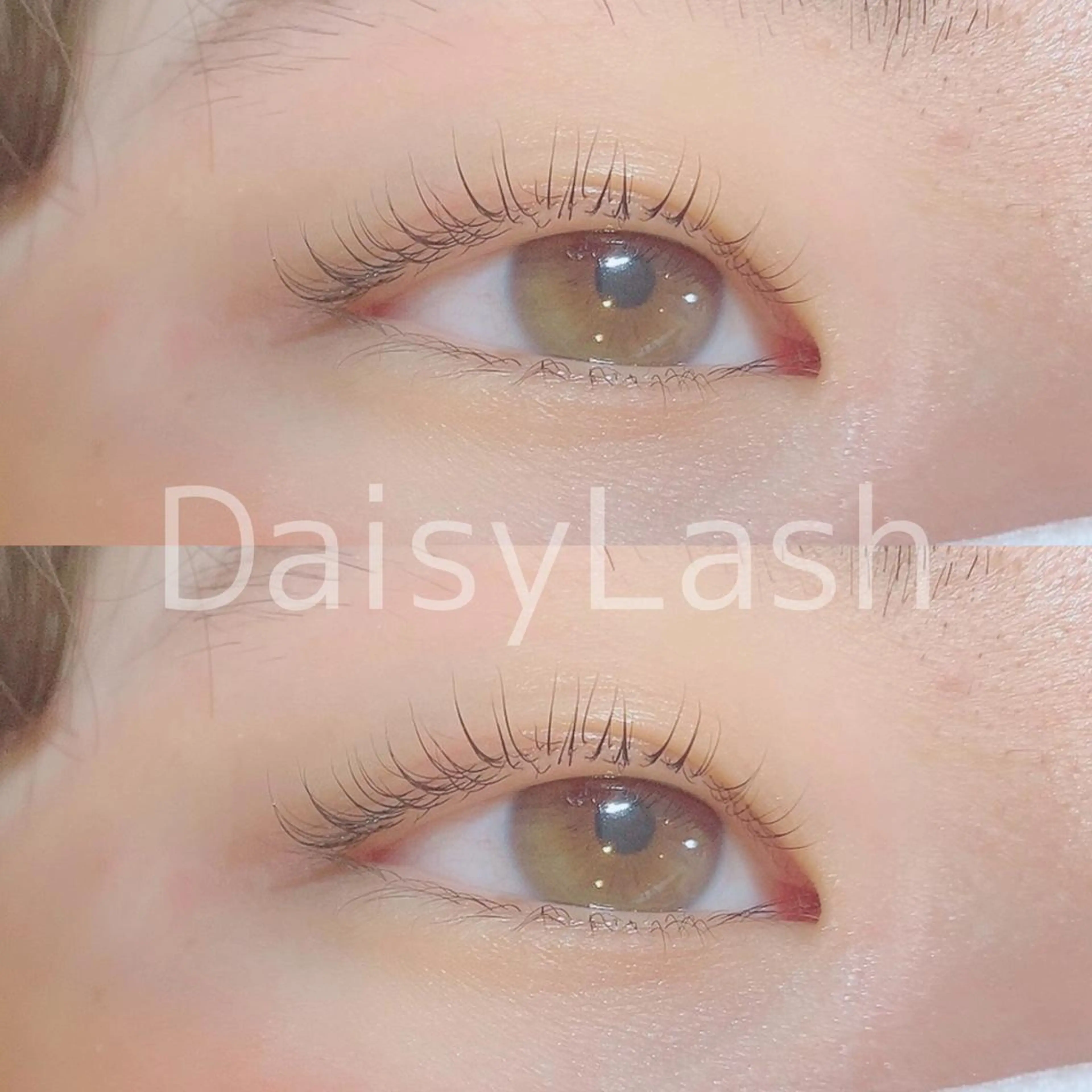 マツエク・マツパ DaisyLash 京橋店のマツエク・マツパデザイン