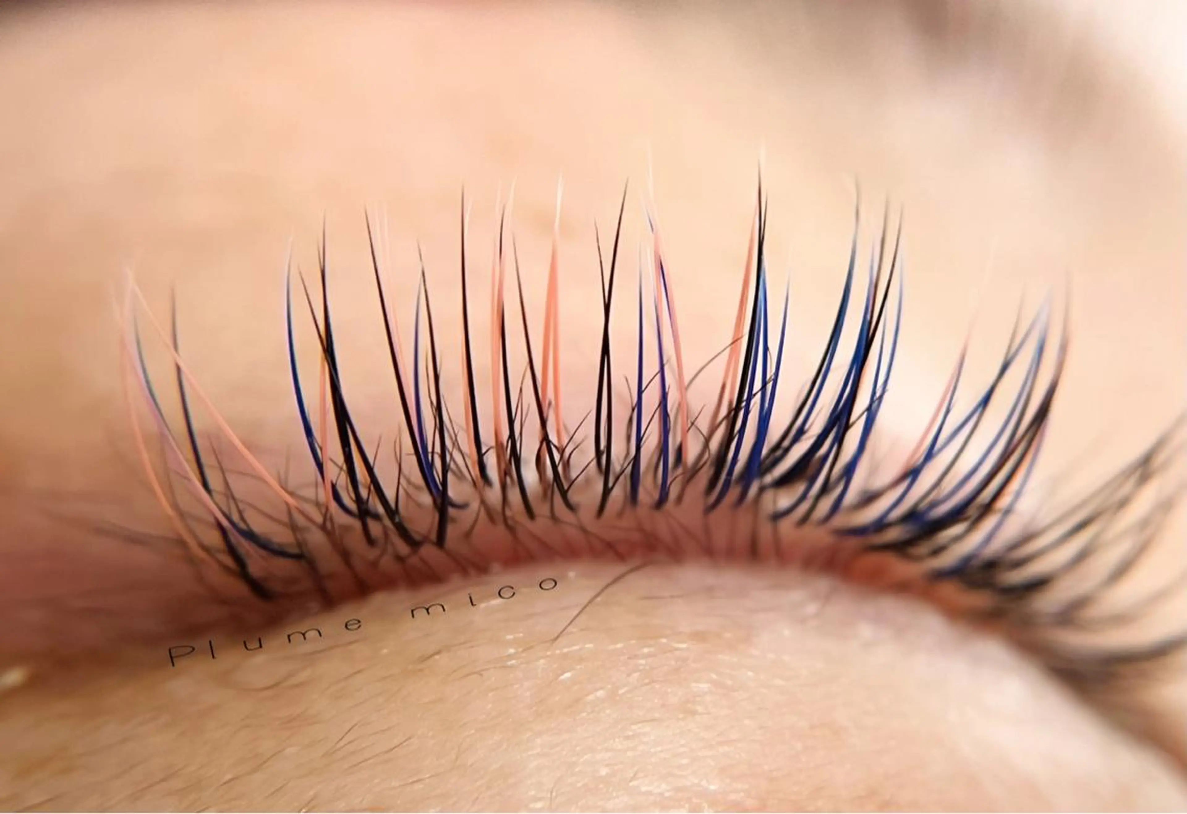 マツエク・マツパ マツエク Plume micoのマツエク・マツパデザイン