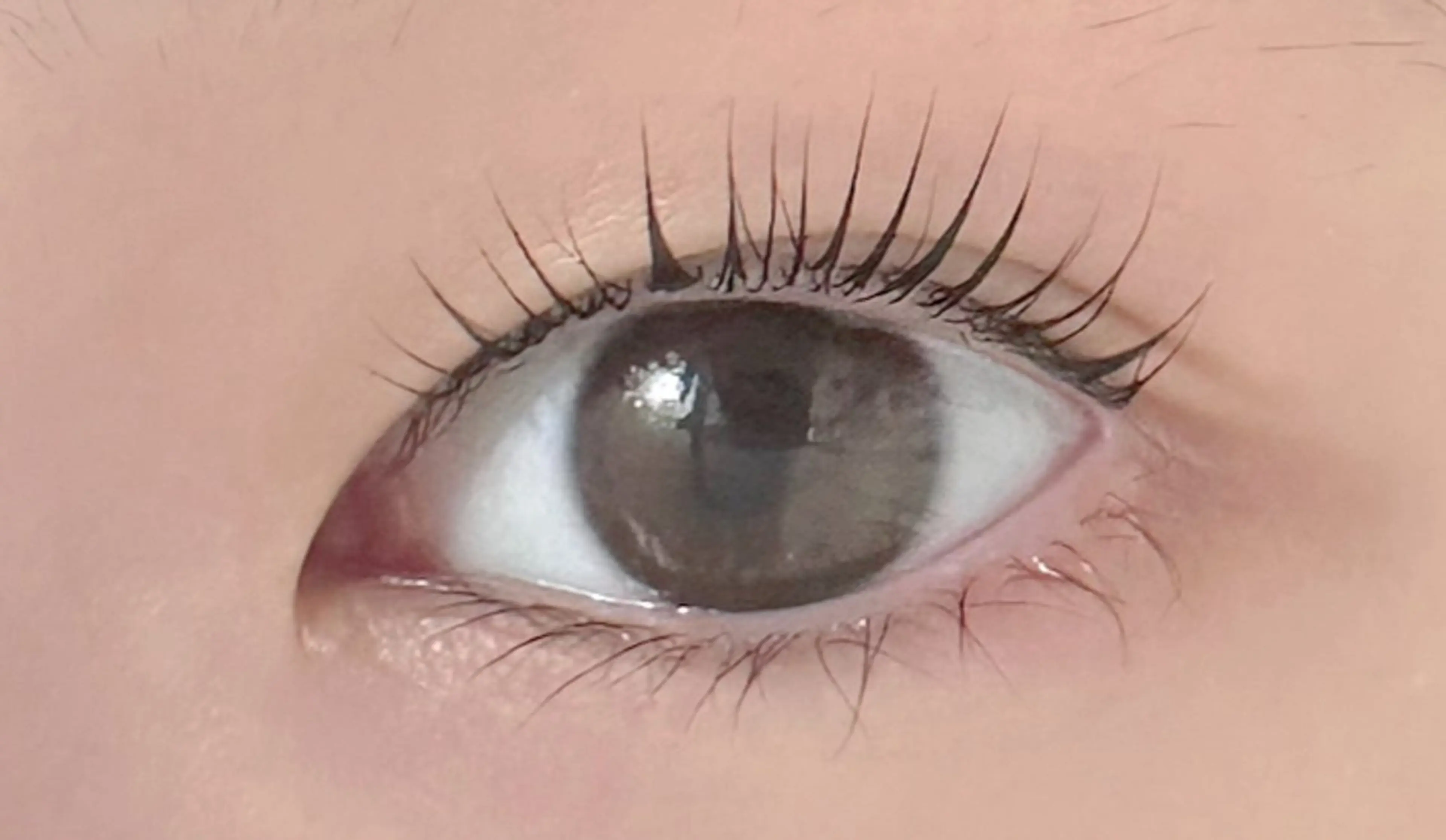 マツエク・マツパ EYELA 花音のマツエク・マツパデザイン