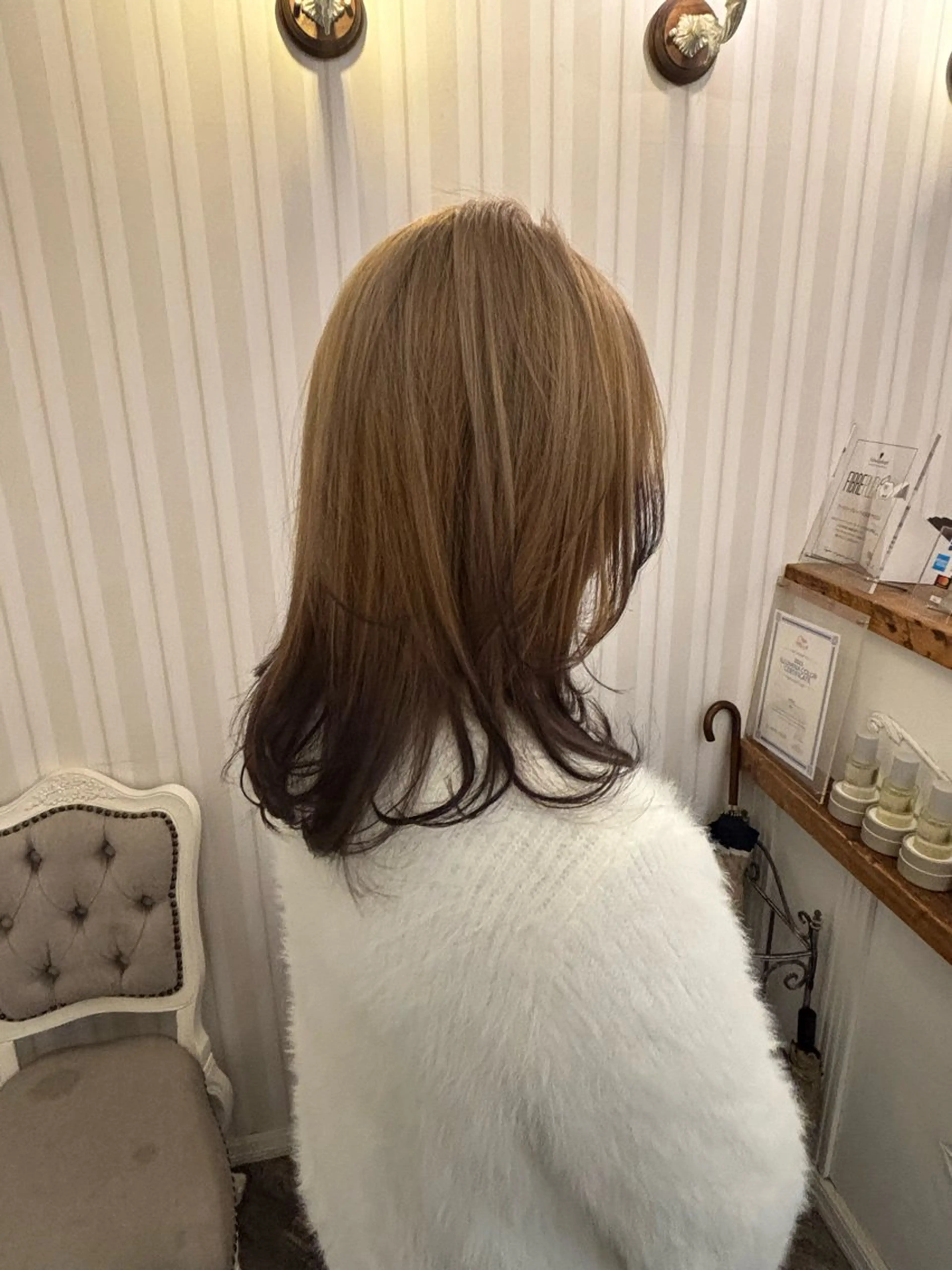 ミディアム カット ヘアカラー ウルフ/レイヤー/ 戸内໒꒱· ﾟのヘアスタイル