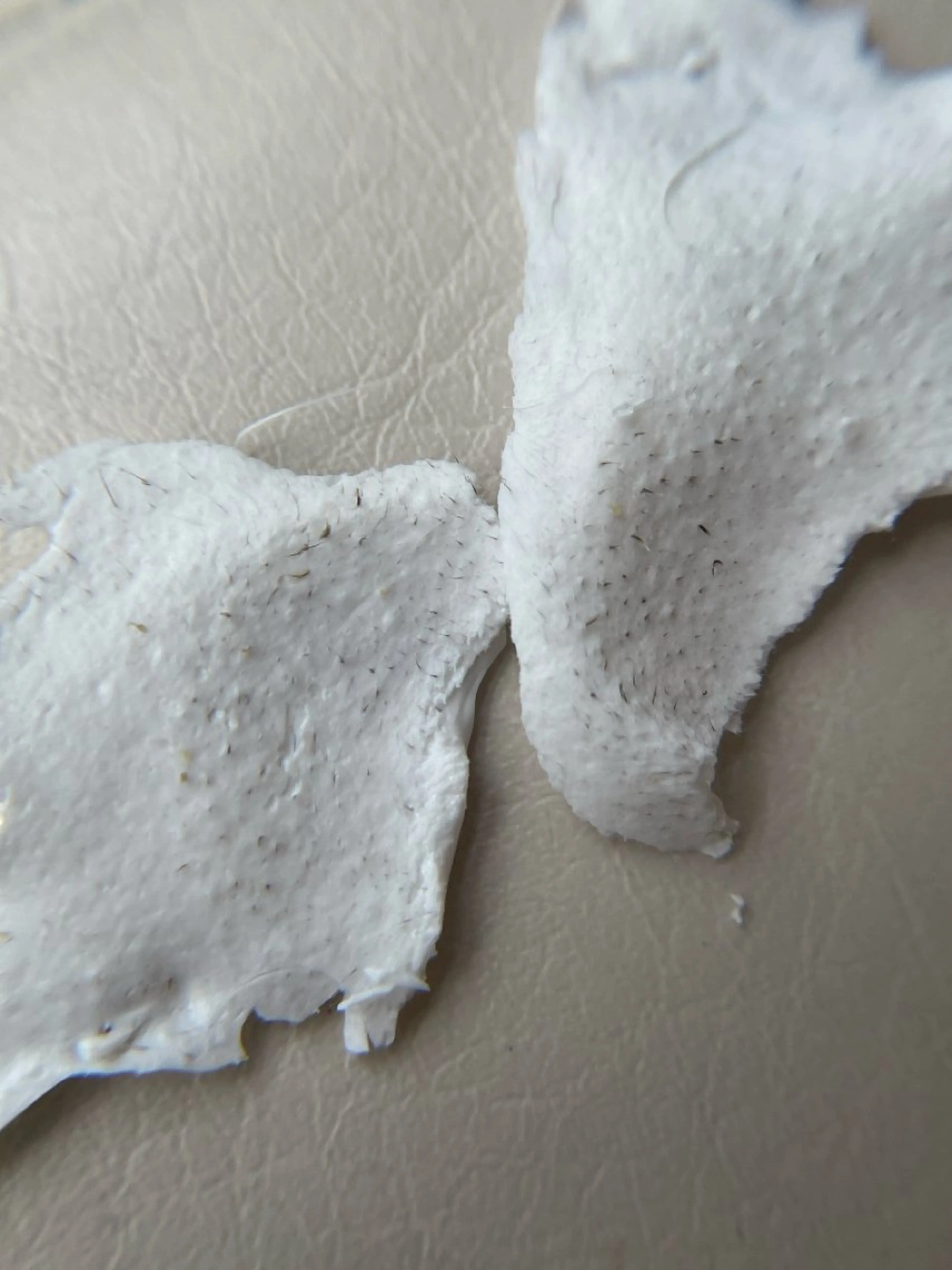 新宿人気No1サロン Onze【オンズ】のマツエク・マツパデザイン