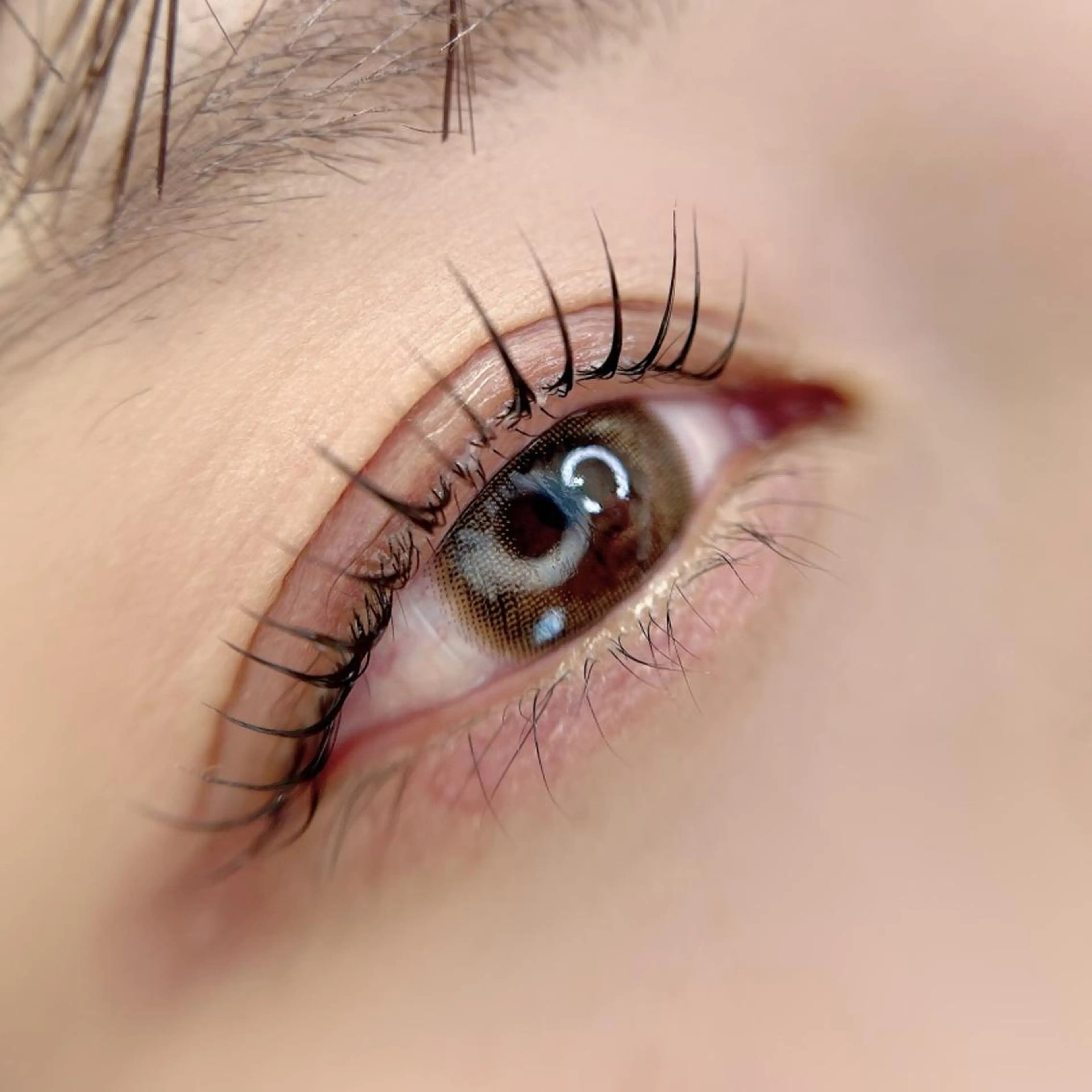 マツエク・マツパ ecru. eyelashのマツエク・マツパデザイン