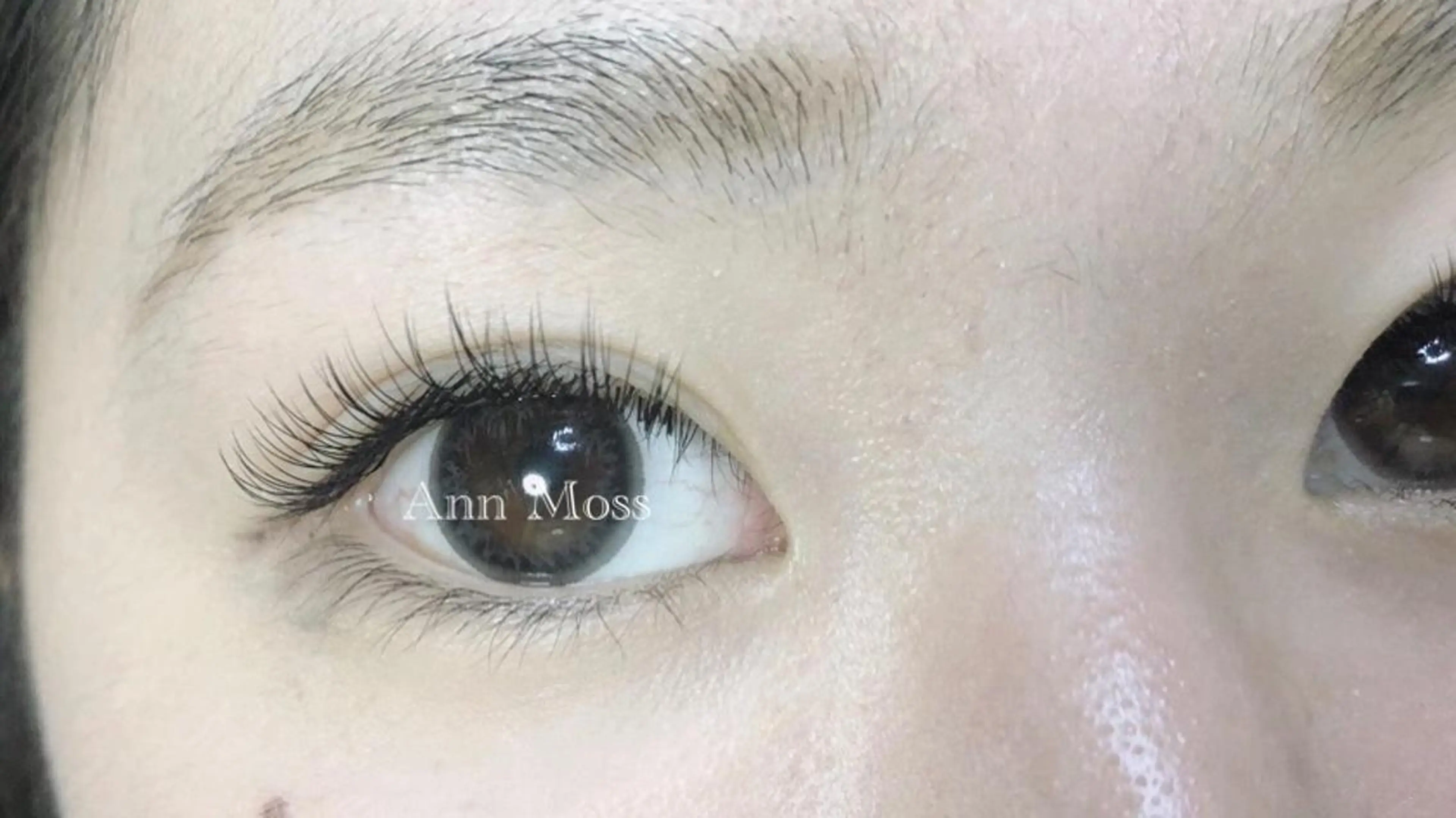 マツエク・マツパ Dカール 無料モデル募集中 Ann Mossのマツエク・マツパデザイン
