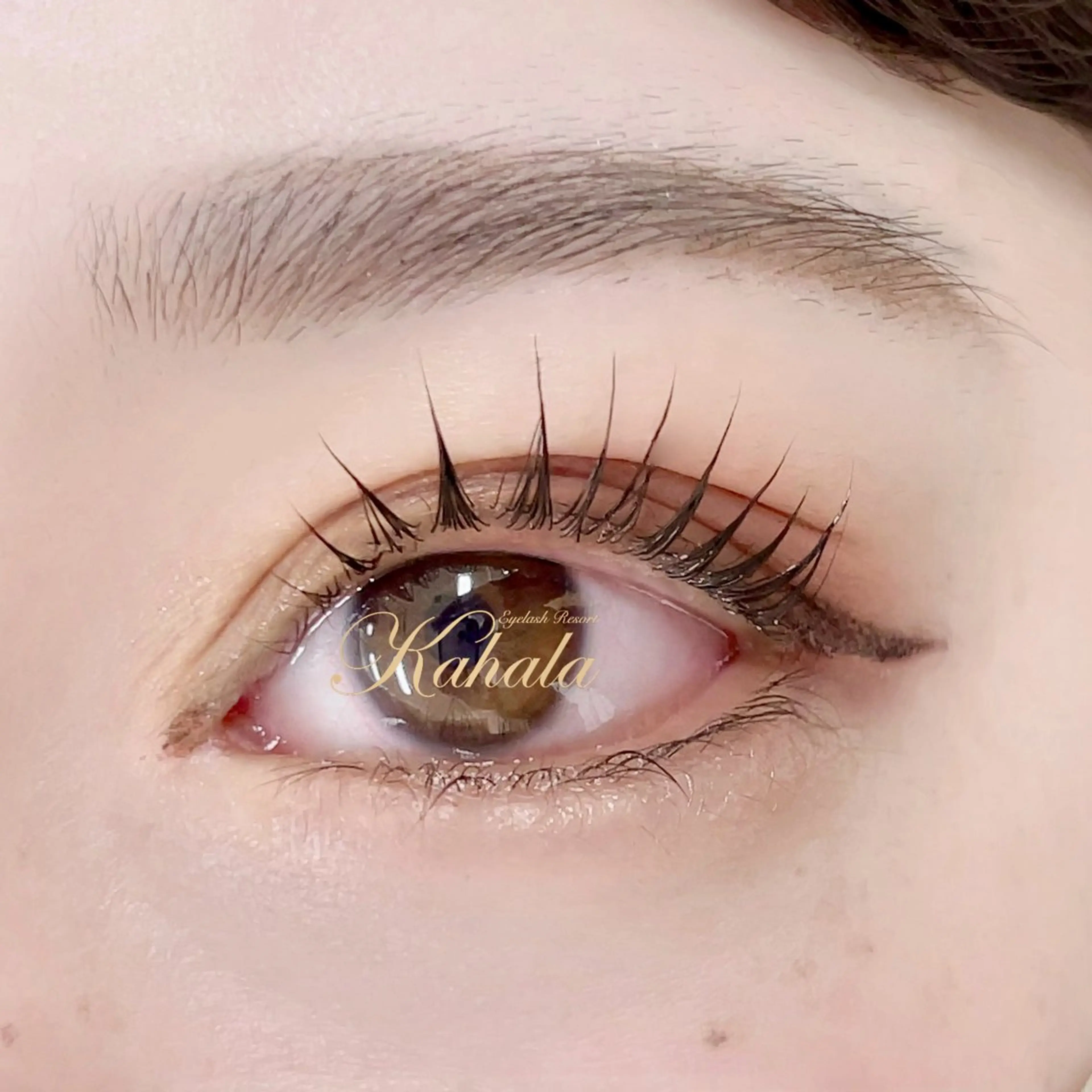 マツエク・マツパ パリジェンヌラッシュリフト R🌹 ⁺⊹˚.のマツエク・マツパデザイン