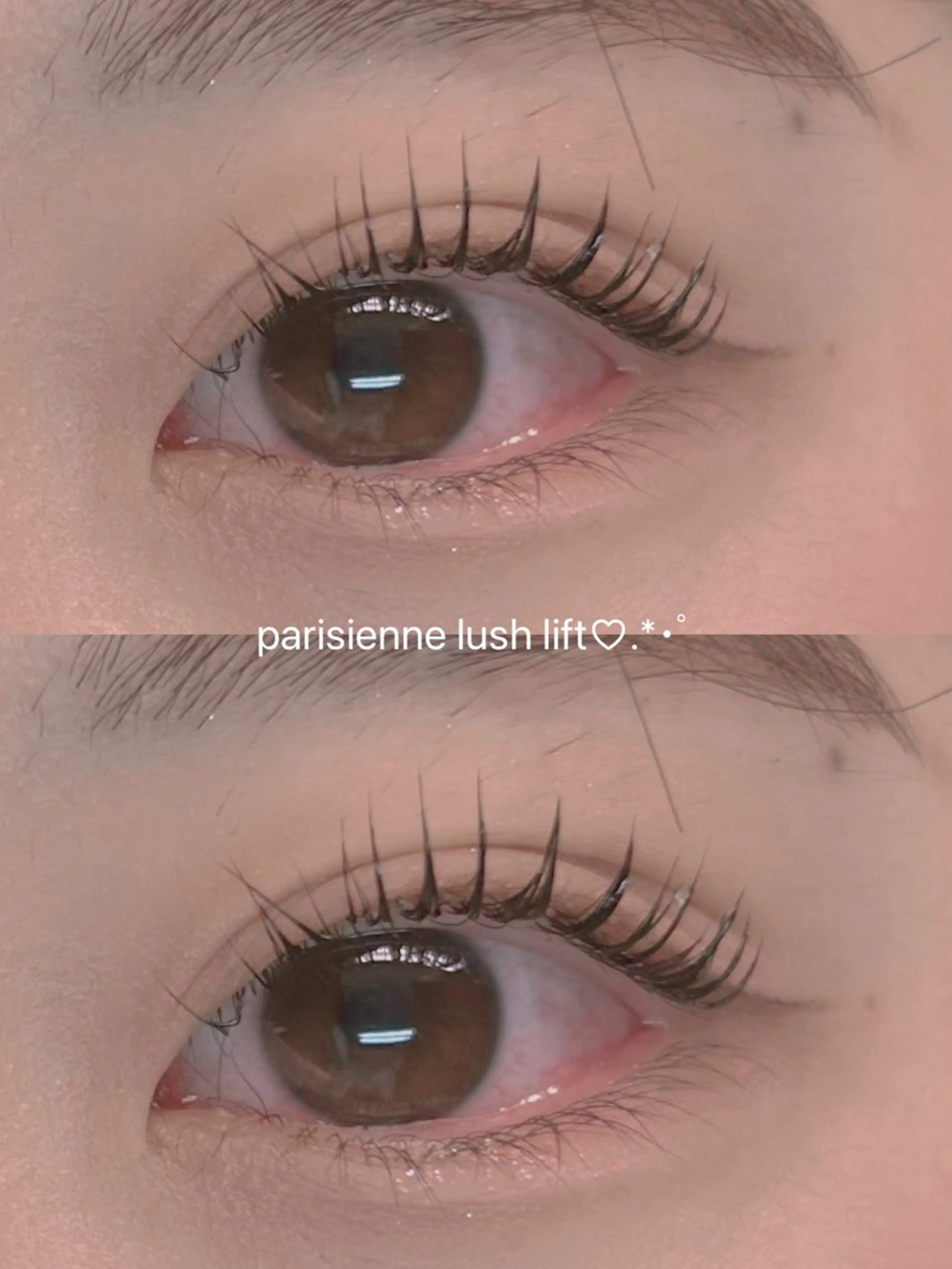 マツエク・マツパ マツパ Y.mako∗*゚ angelicaのマツエク・マツパデザイン