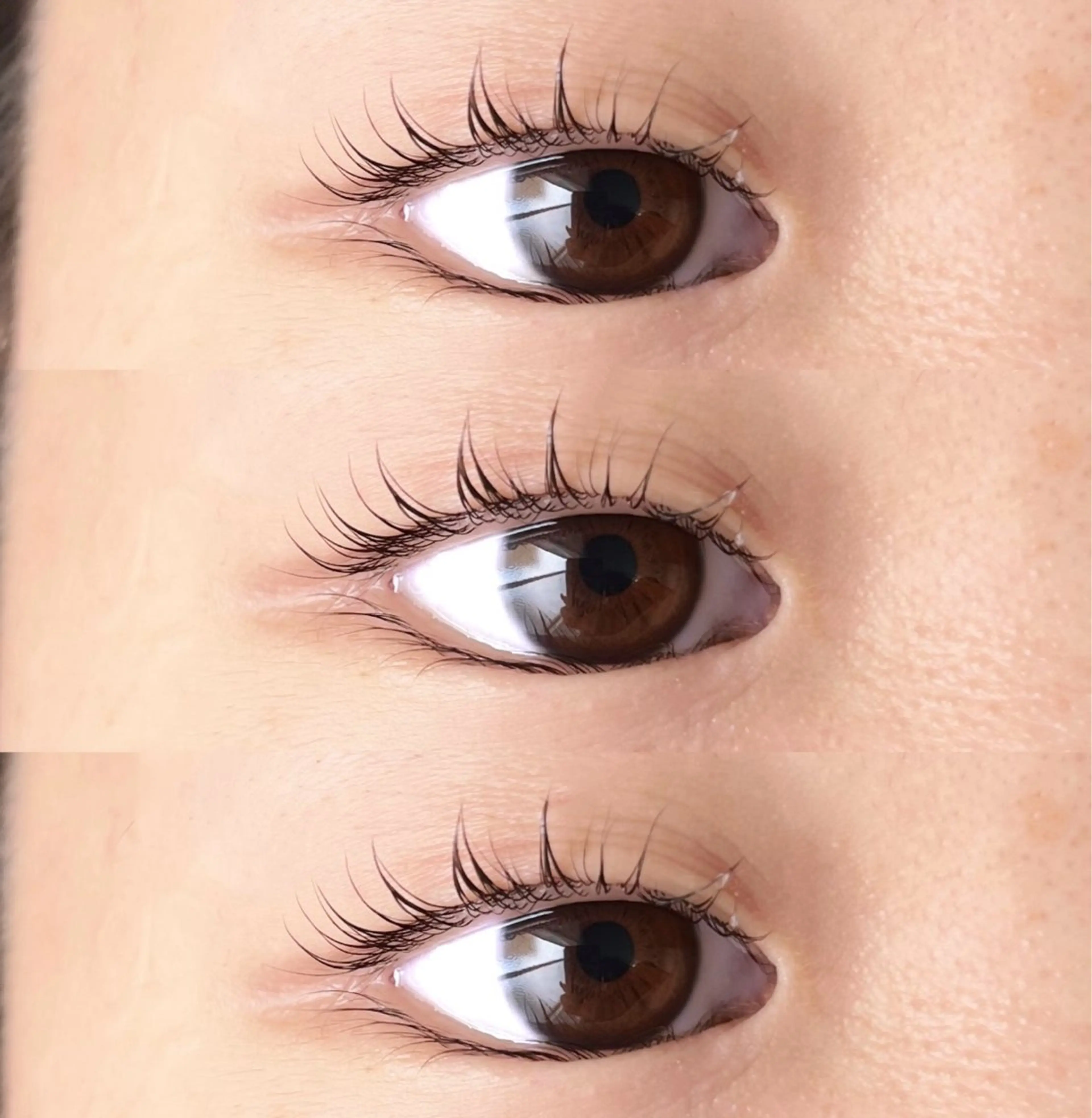 🉐会員になると¥4000🉐🌷🌷🌷🌷2回目以降のお客様！まつげパーマ🌷🌷🌷🌷の写真