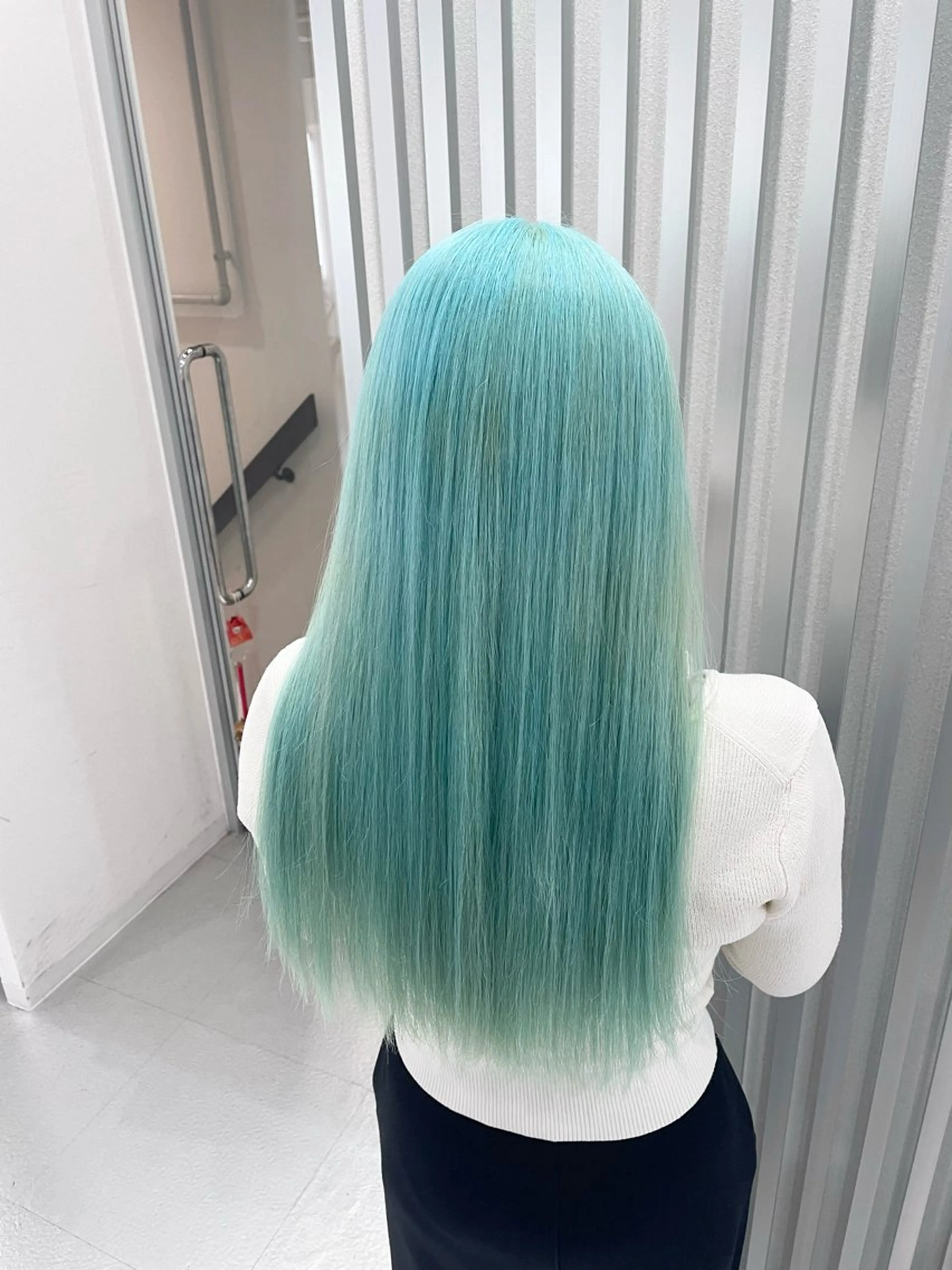 ロング カラー ミント ミントグリーン 野崎/カラー特化 /天王寺のヘアスタイル