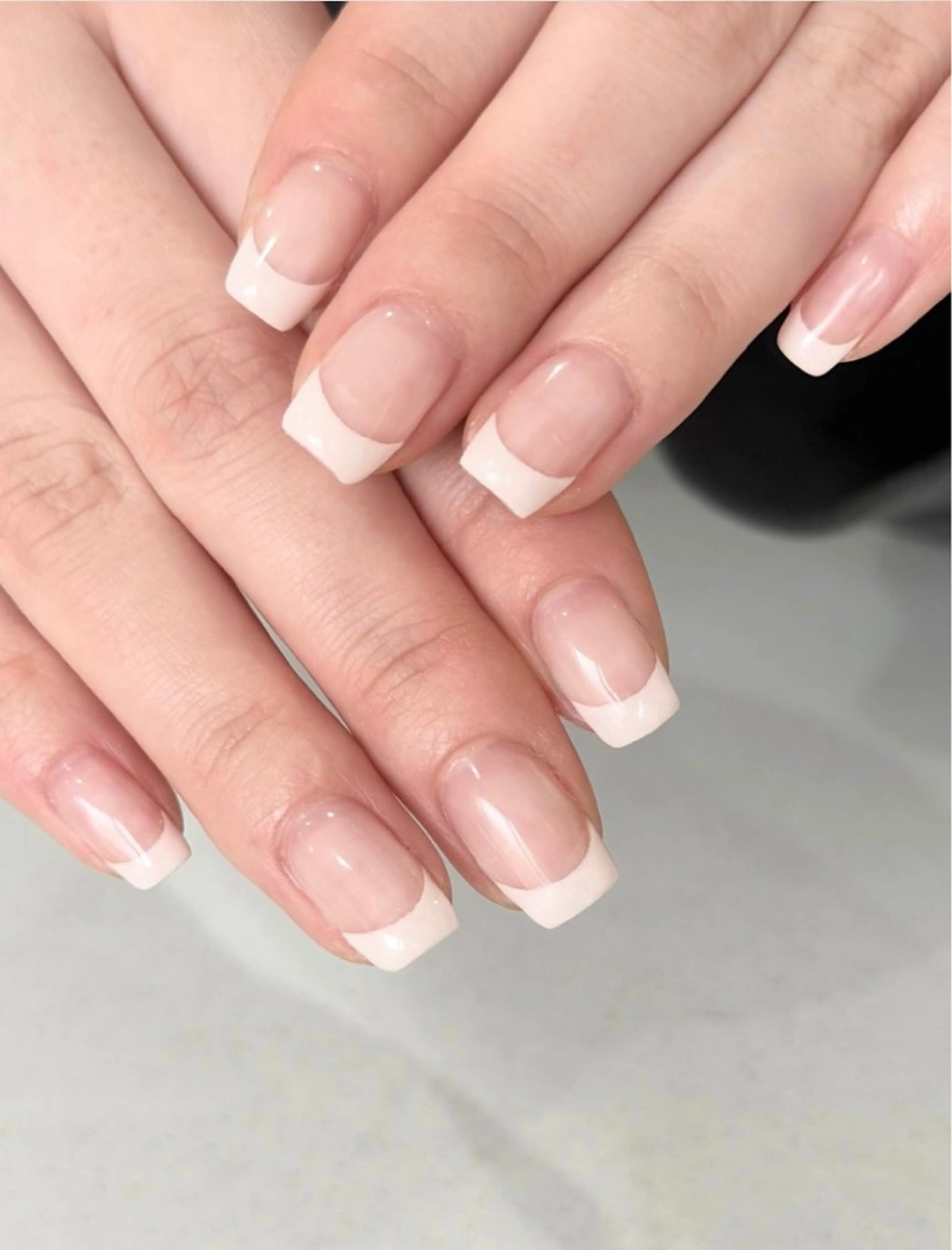 【オフなし】フレンチの写真