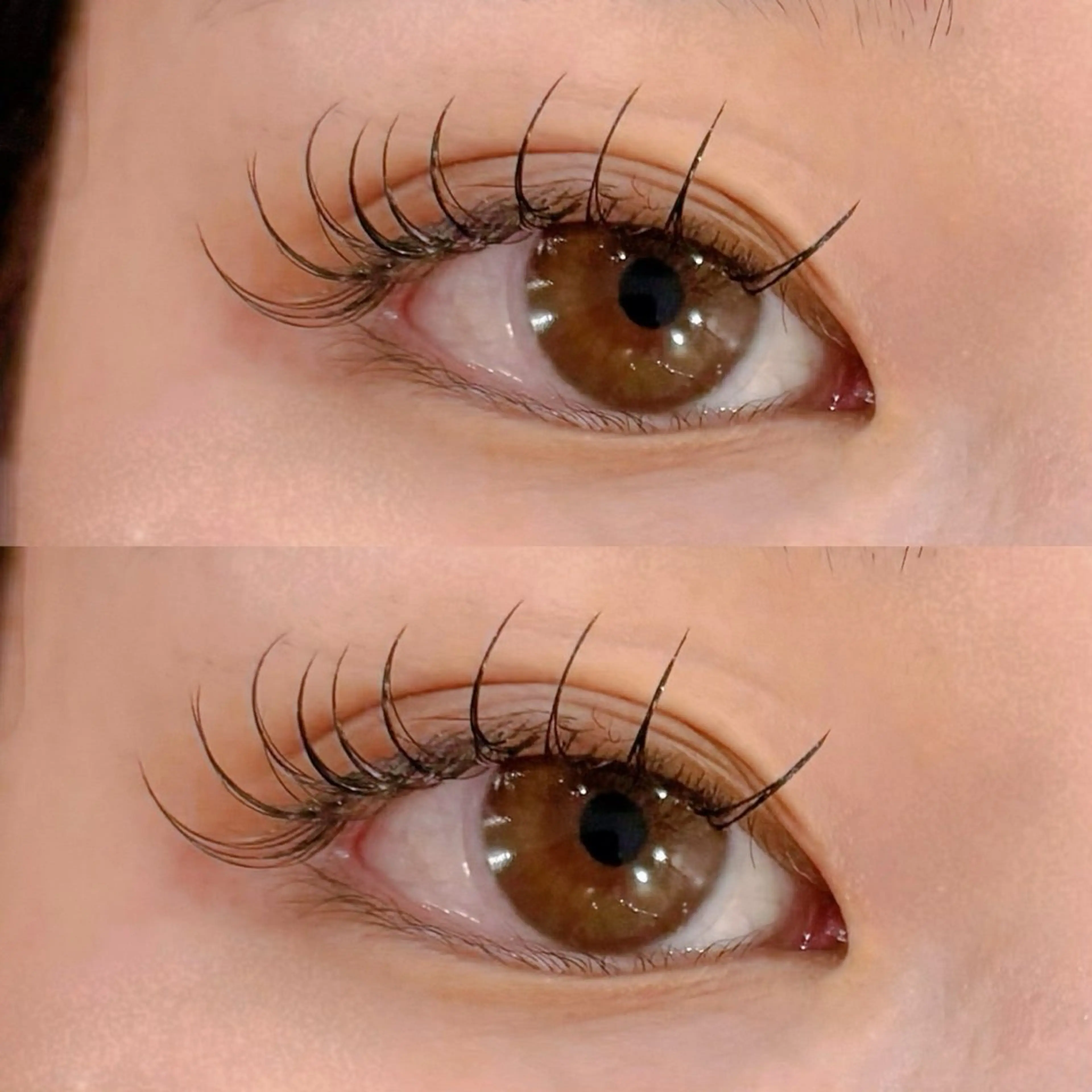 LEDマツエク100本💡💗➕シングルオフ、コーティング込みの写真