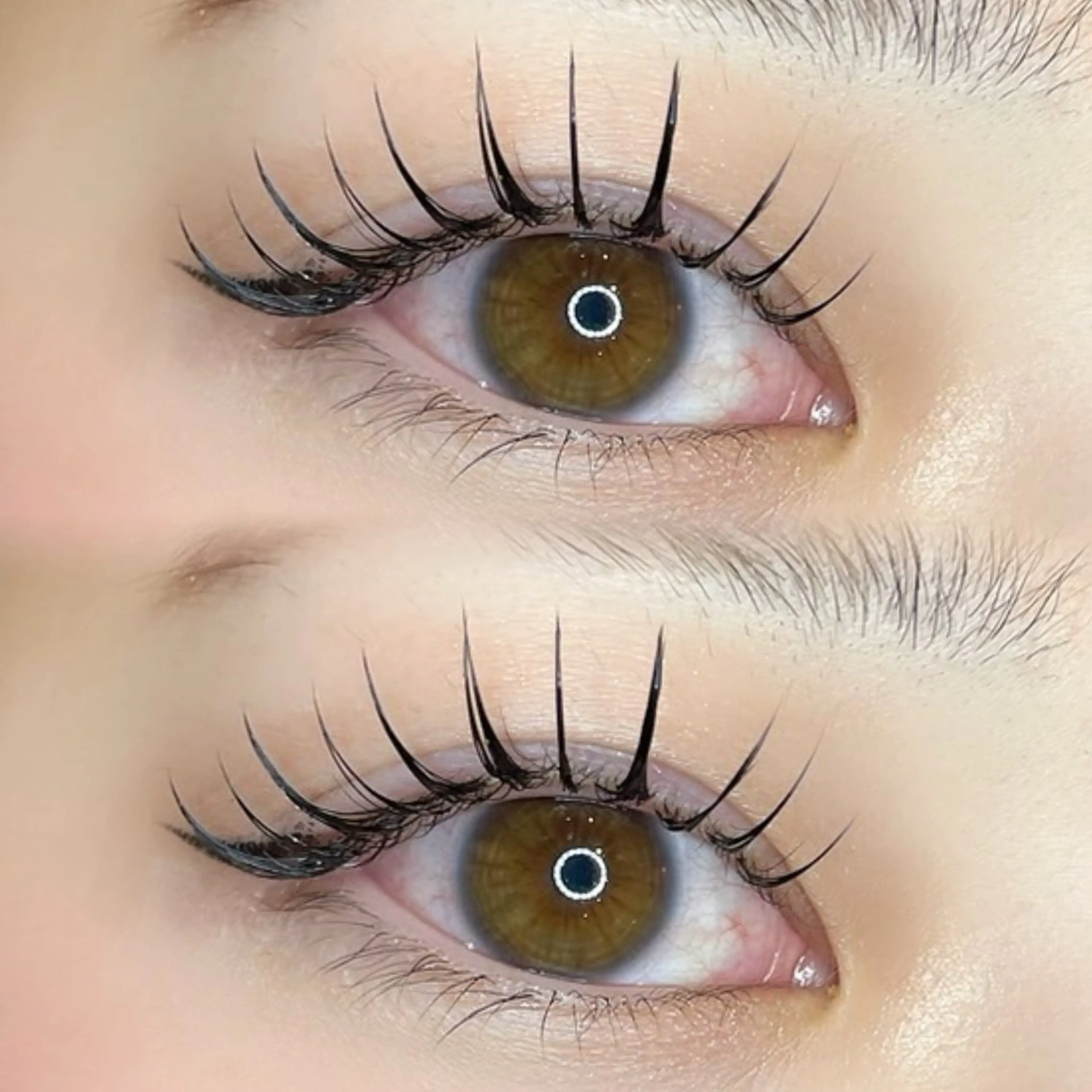 【モデル】 LED エクステ  100本✧*｡ ※必ず補足欄をご確認お願い致しますの写真