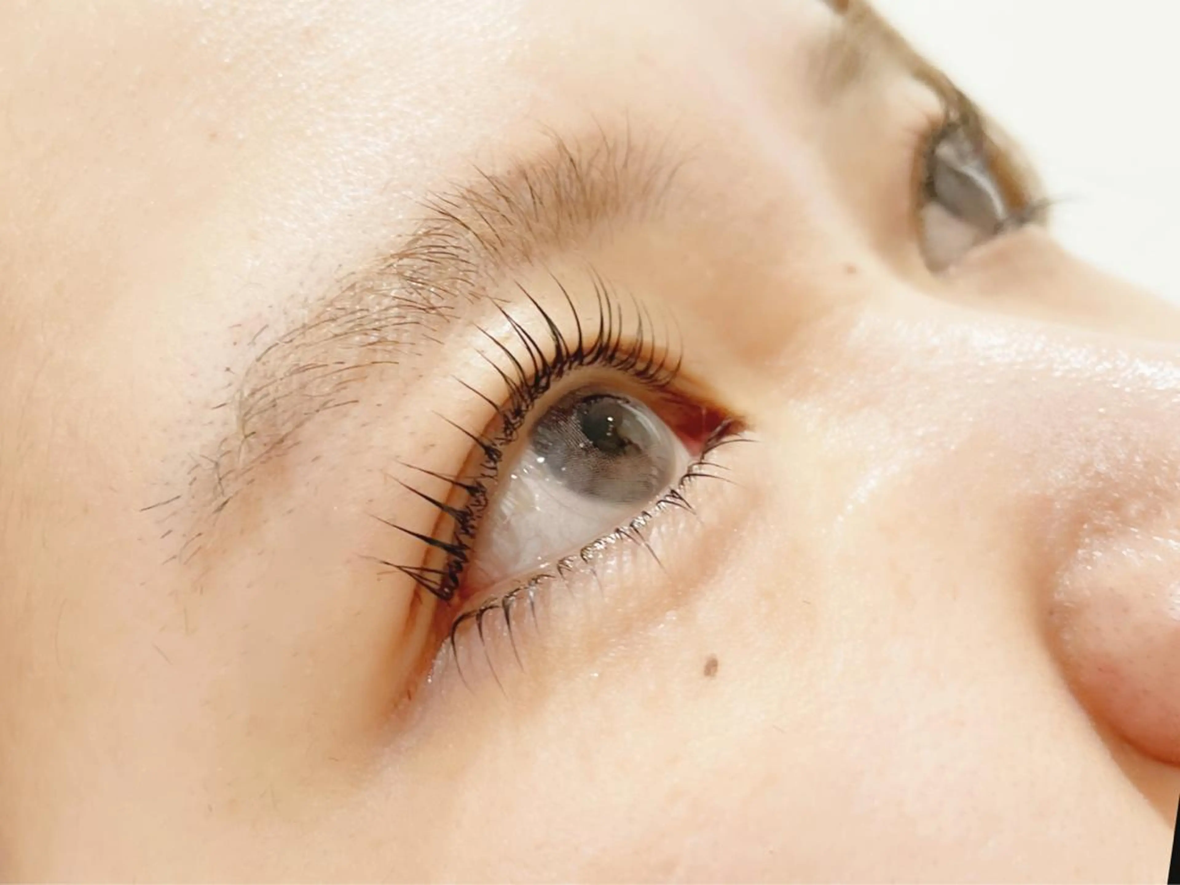 🌸上下まつ毛パーマ🌸人気のメーテルロットもございますの写真