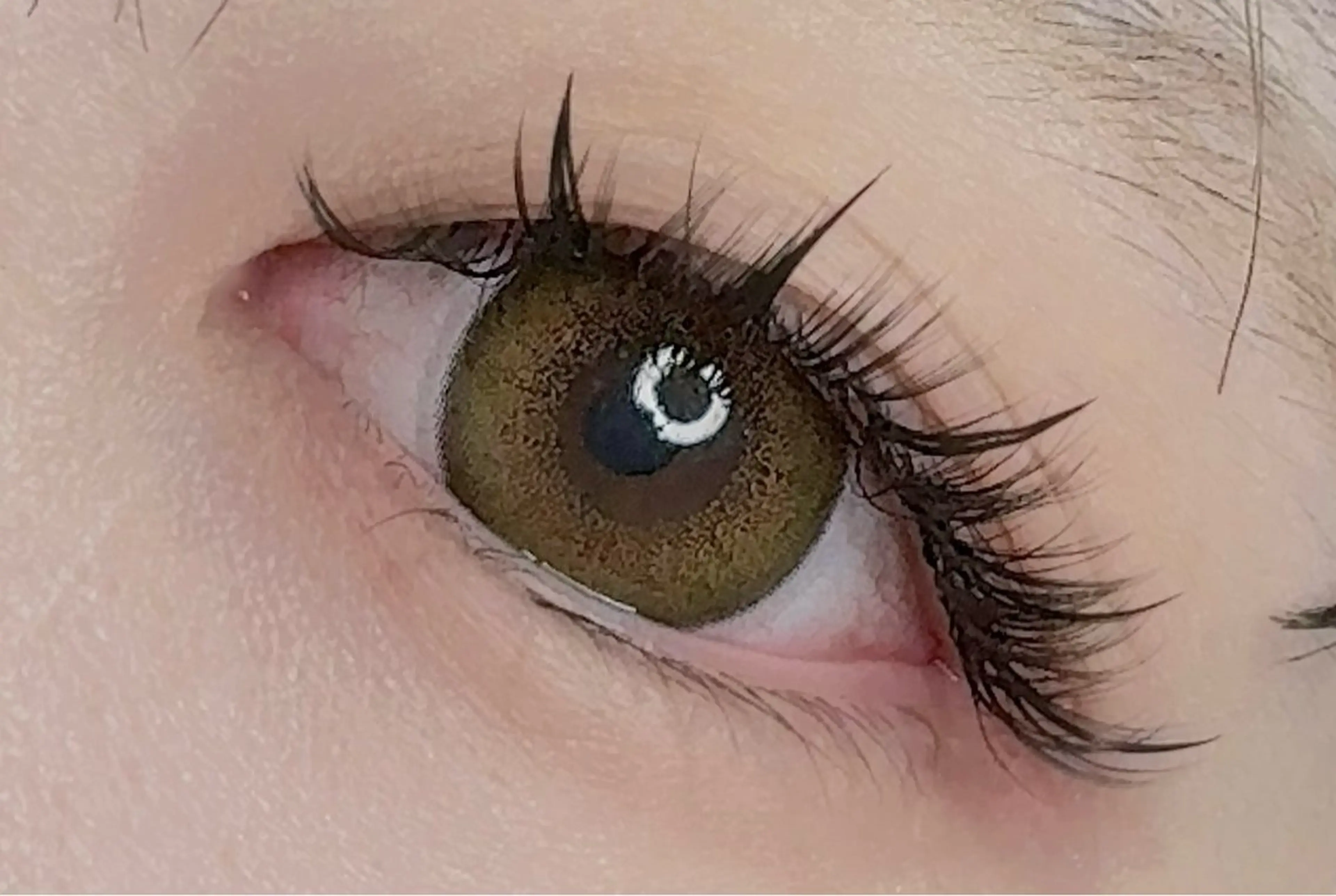 マツエク・マツパ 束感まつ毛 ワンホンマツエク Z·Sunny Eyelashのマツエク・マツパデザイン