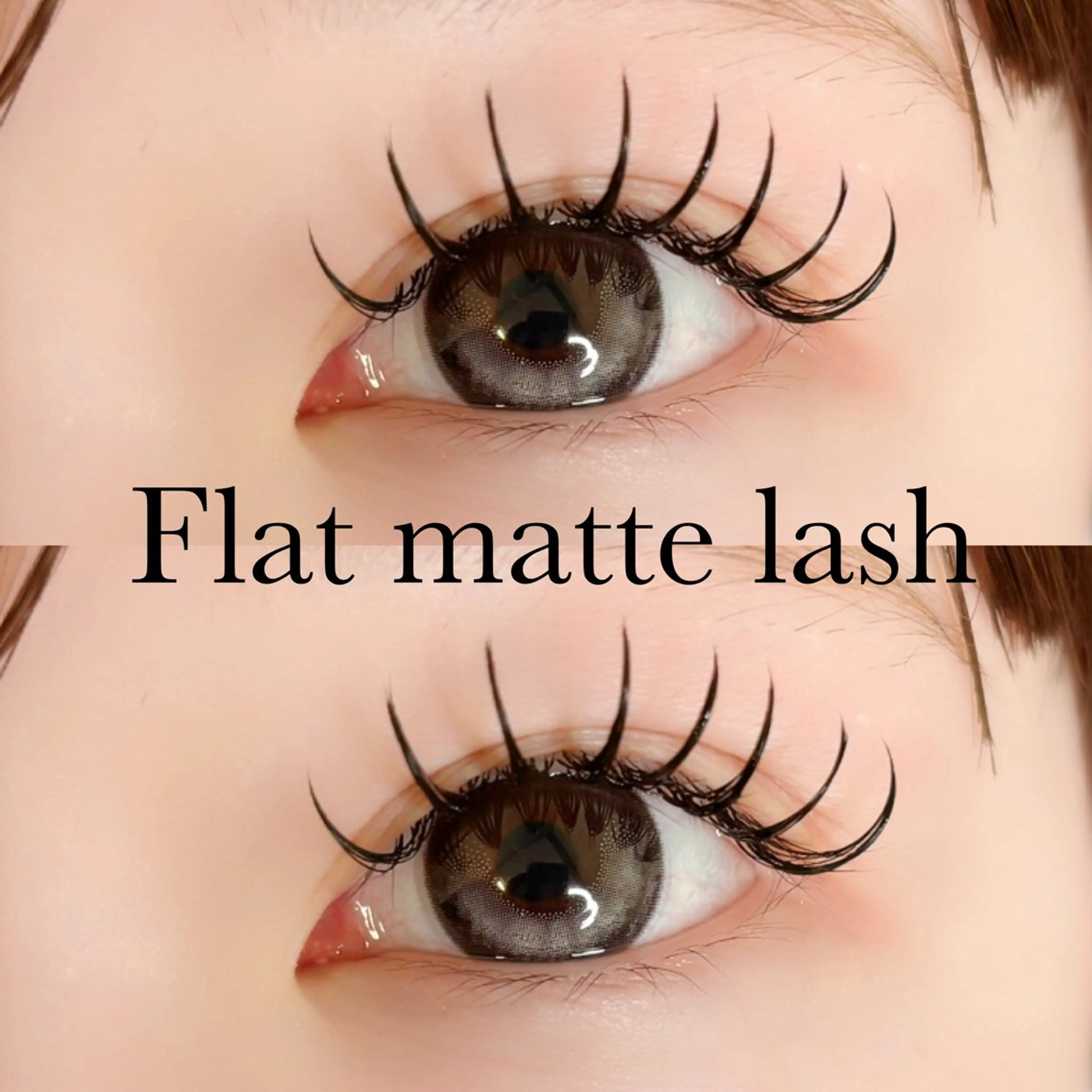 【Flat matte lash💫】フラットマットラッシュMax160本の写真