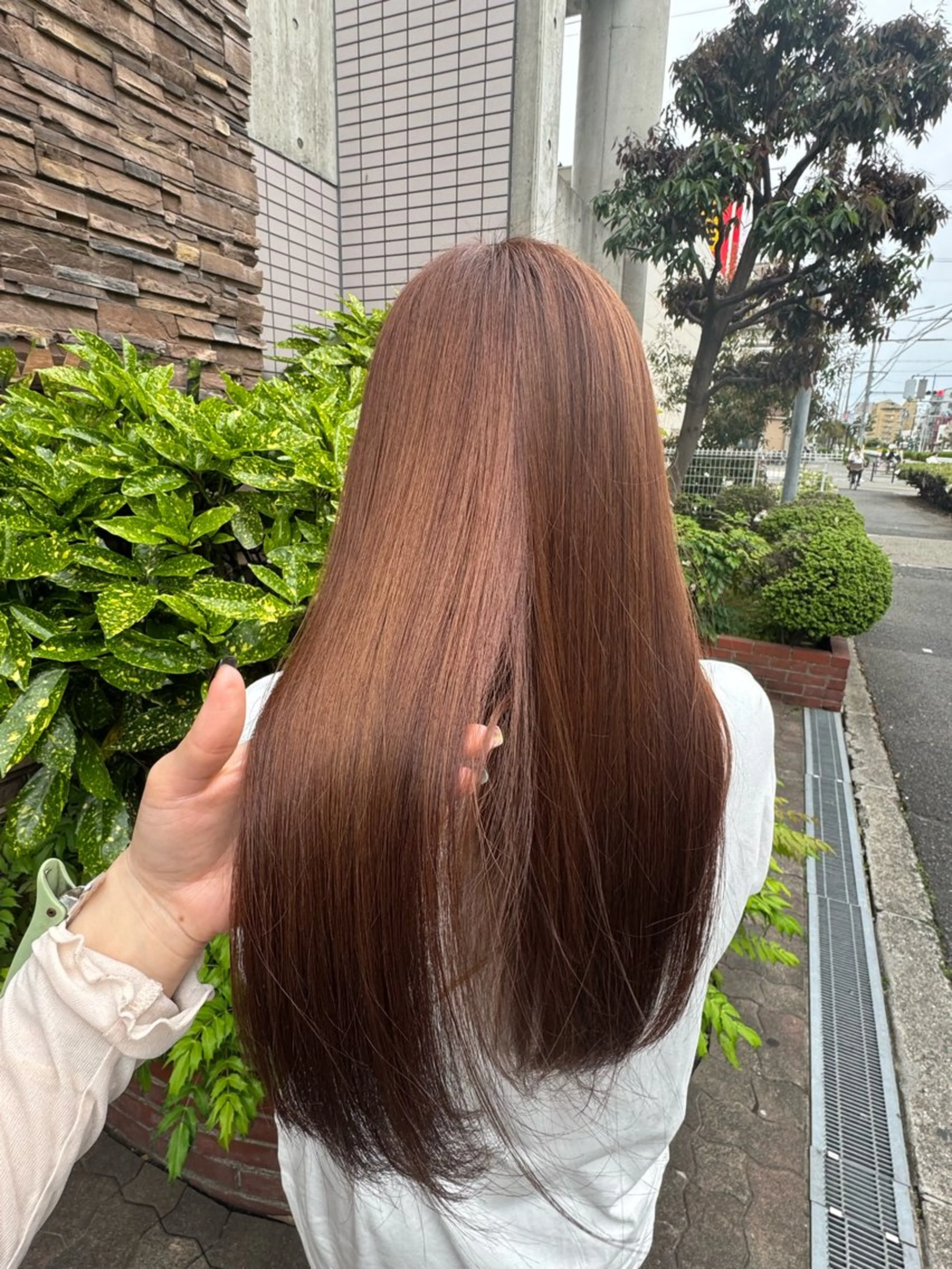ロング 渡邉 翼のヘアスタイル