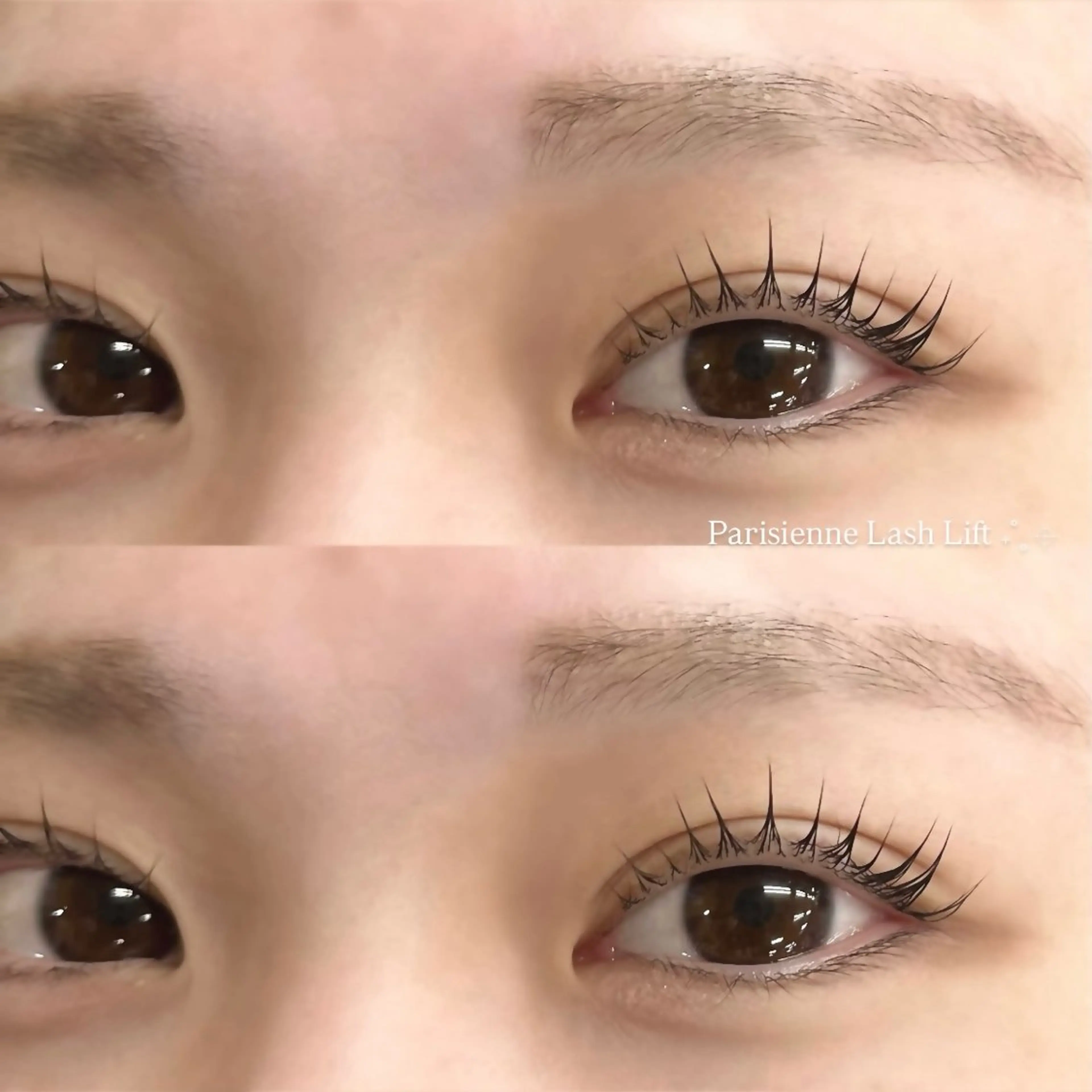 マツエク・マツパ EYELA🪄︎︎ 𝙨𝙚𝙞𝙧𝙖のマツエク・マツパデザイン