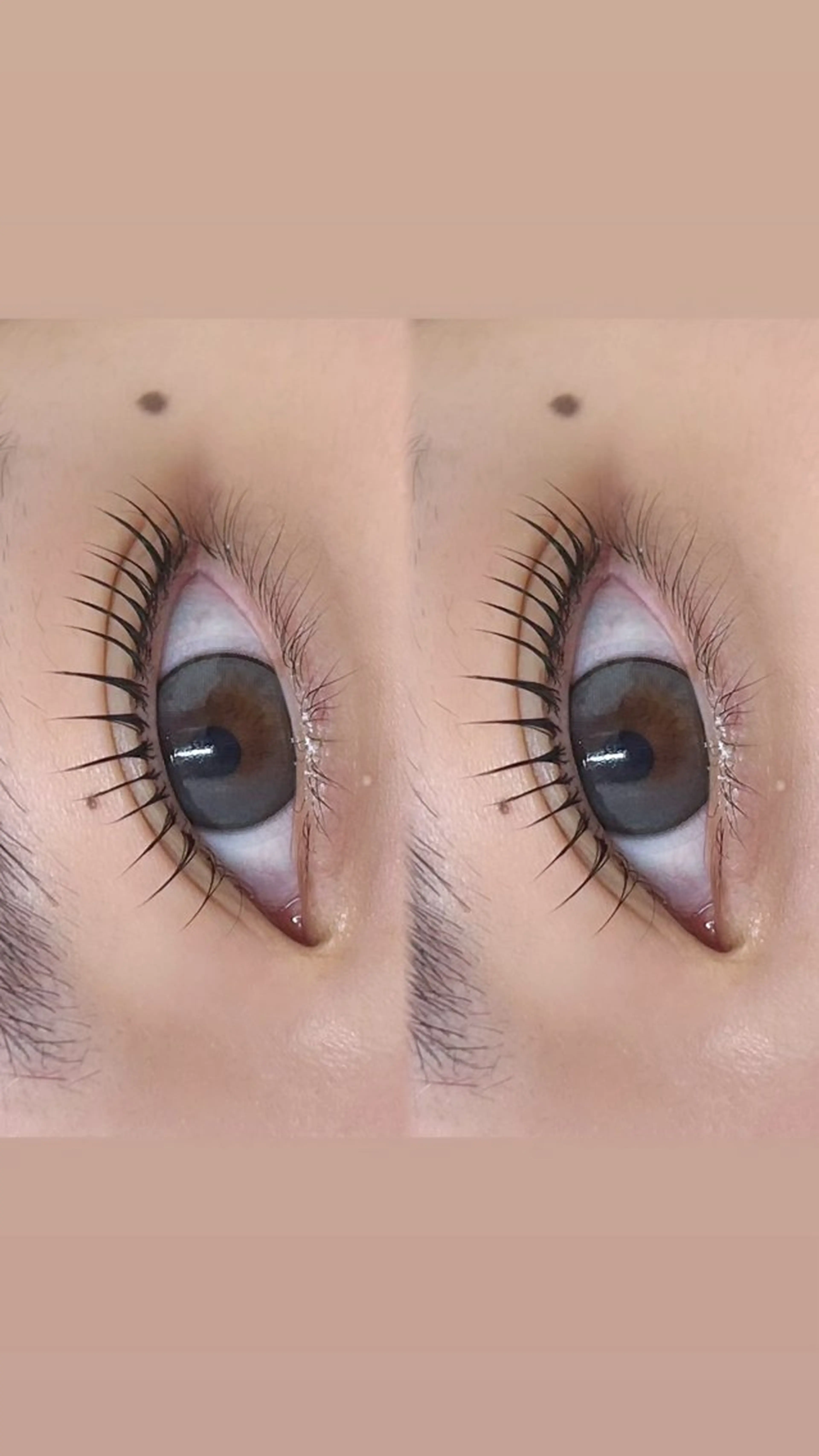 【 新規限定 】似合わせまつ毛パーマ🪄🌟の写真