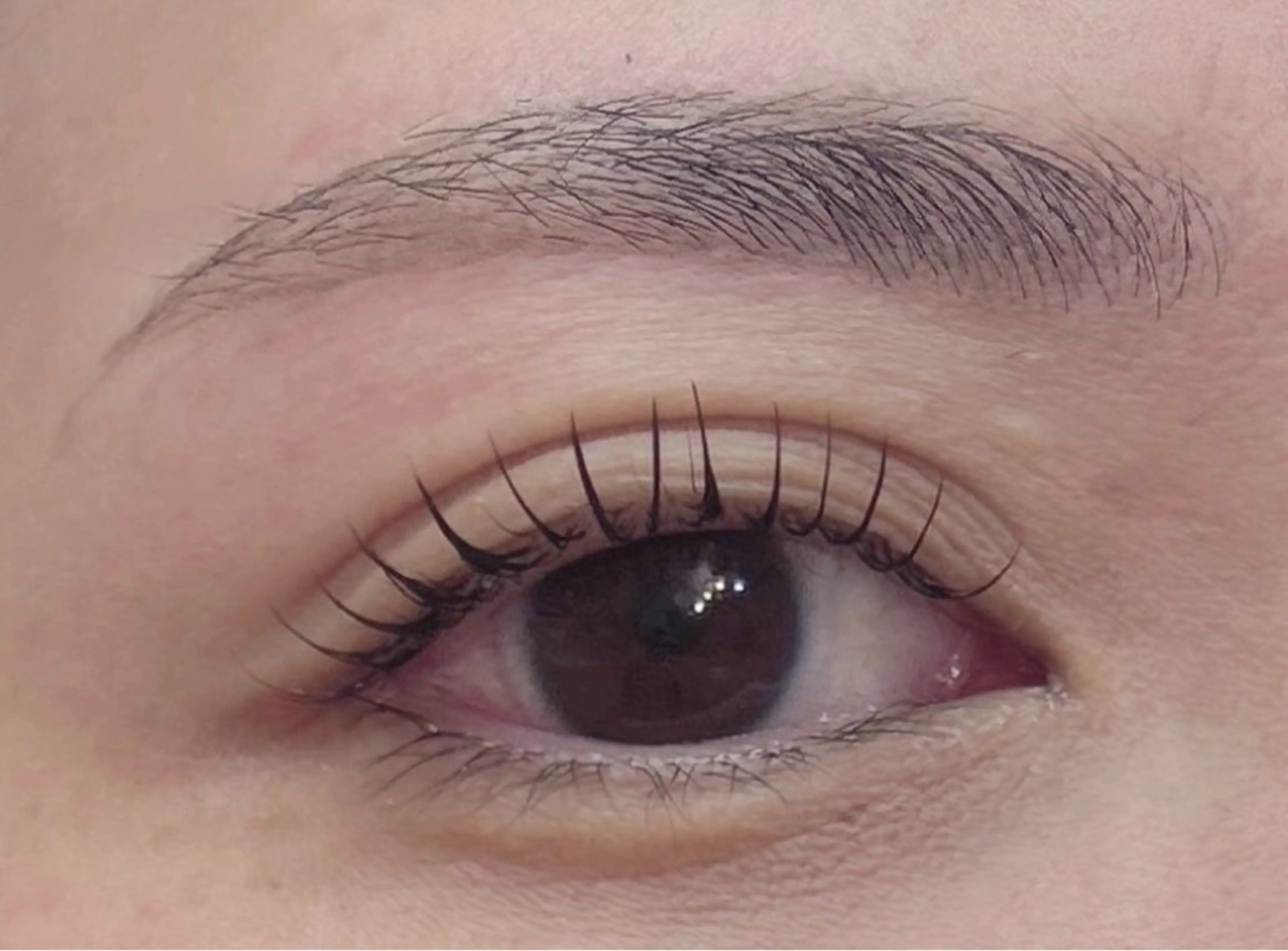 マツエク・マツパ マツエク poka lash所属・poka lash 奥村の眉毛・アイブロウイメージ