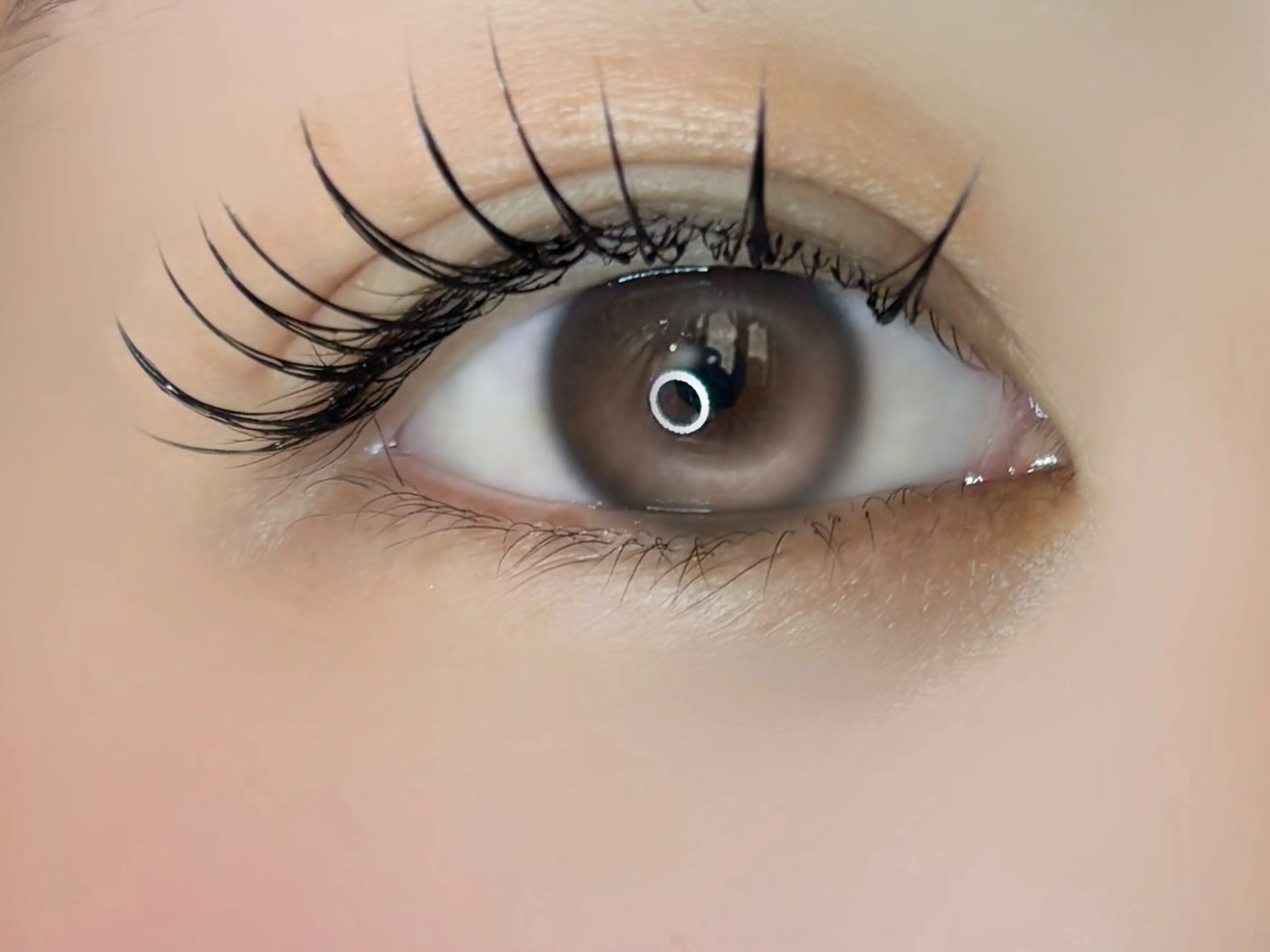 【1日1名限定】LEDフラットラッシュ80~100本(エクオフあり)の写真