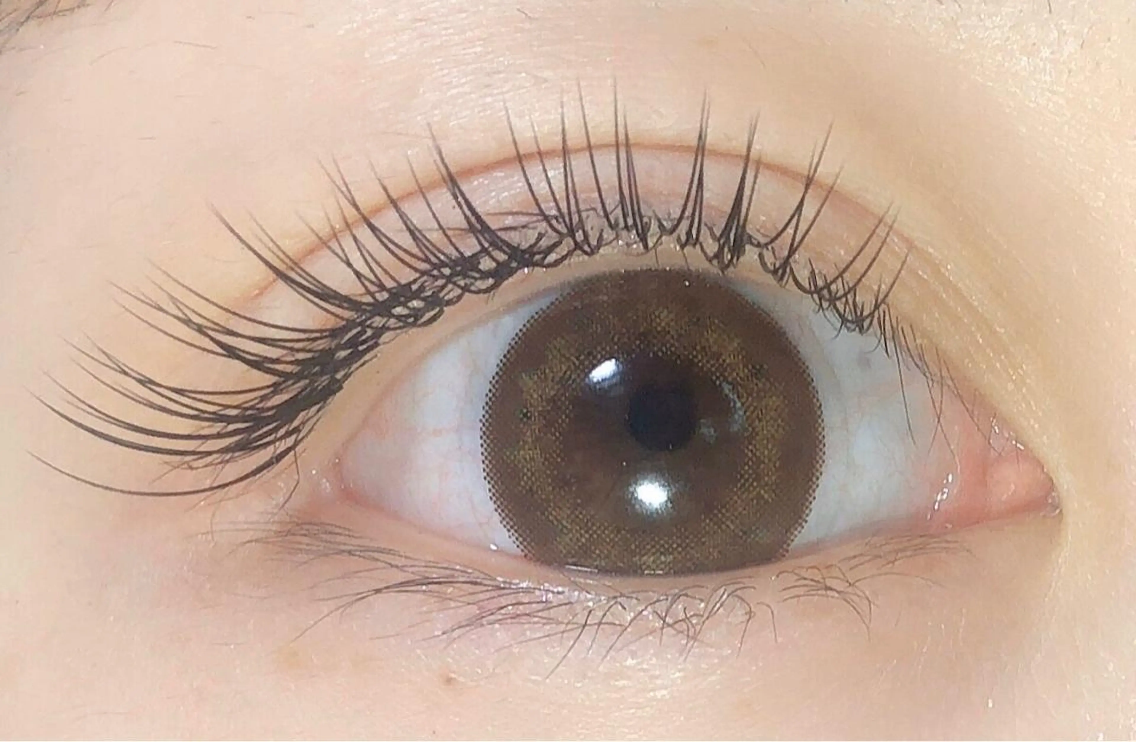 マツエク・マツパ セーブル RUBIA ルビアのマツエク・マツパデザイン