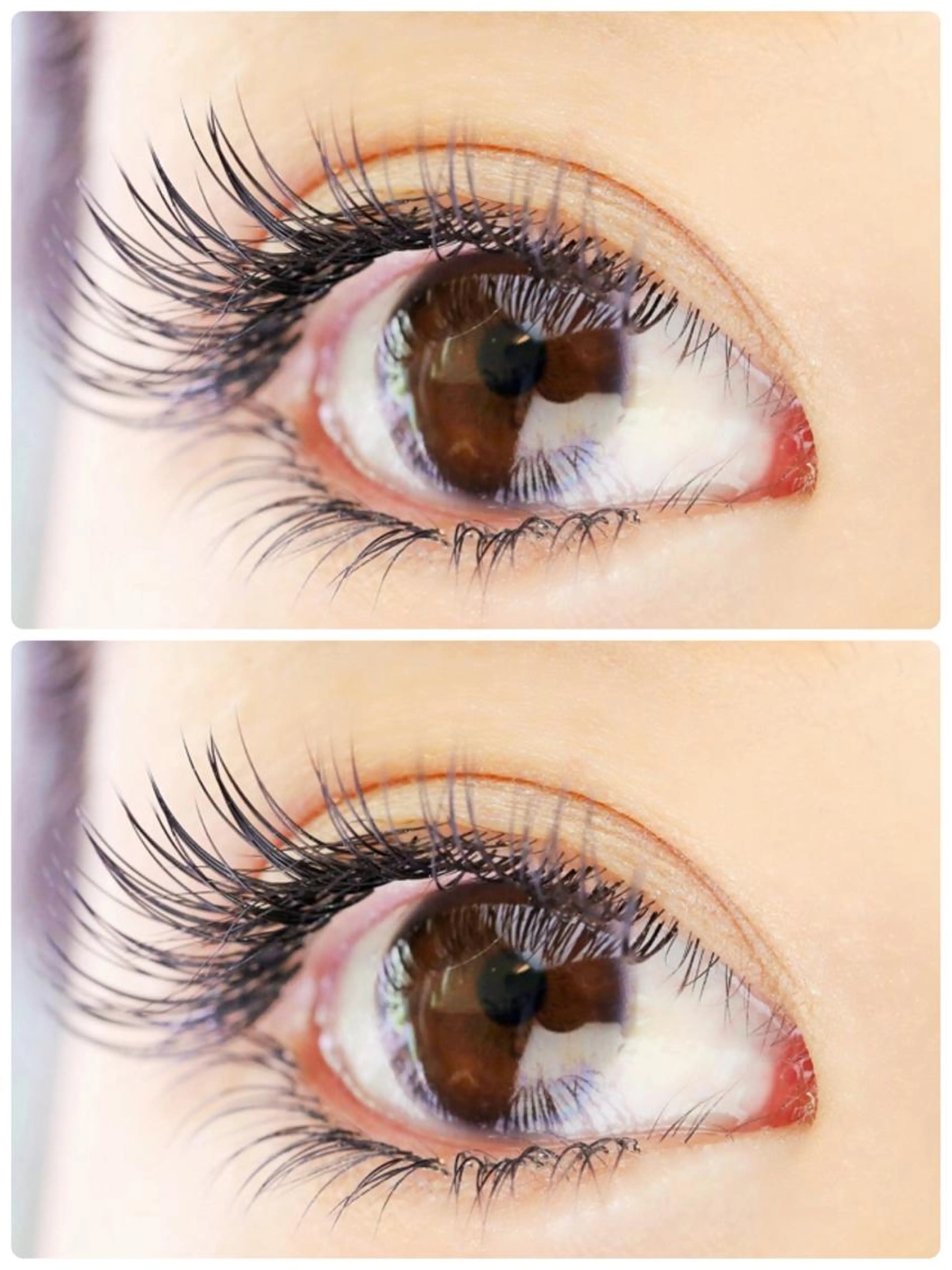 【フラットラッシュ１２０本】🌸オフ込み　美容液コーティング付きの写真