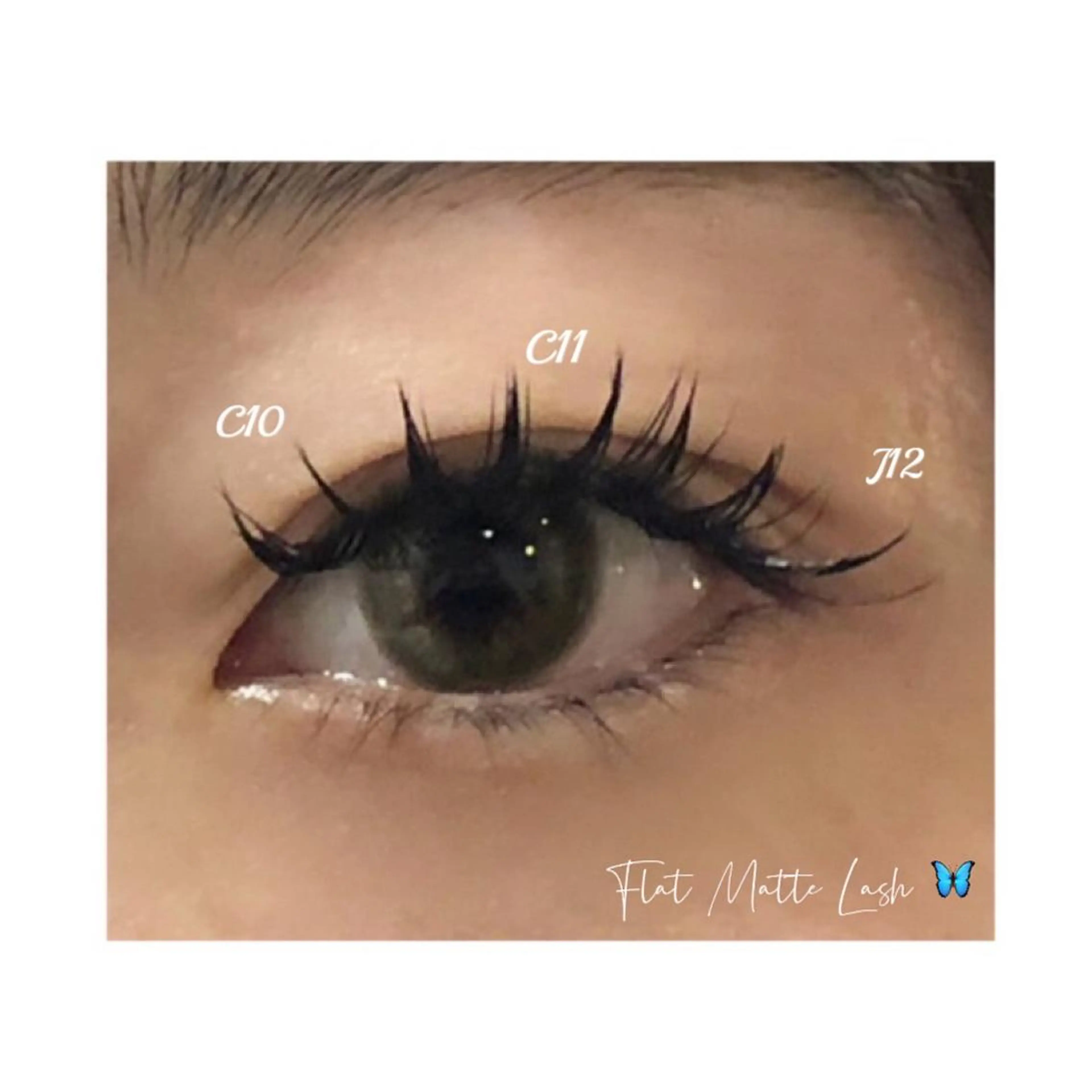 マツエク・マツパ 束感まつ毛 フラットラッシュ 目尻長め ビューティーサロン エクラ【薬院•平尾】のマツエク・マツパデザイン