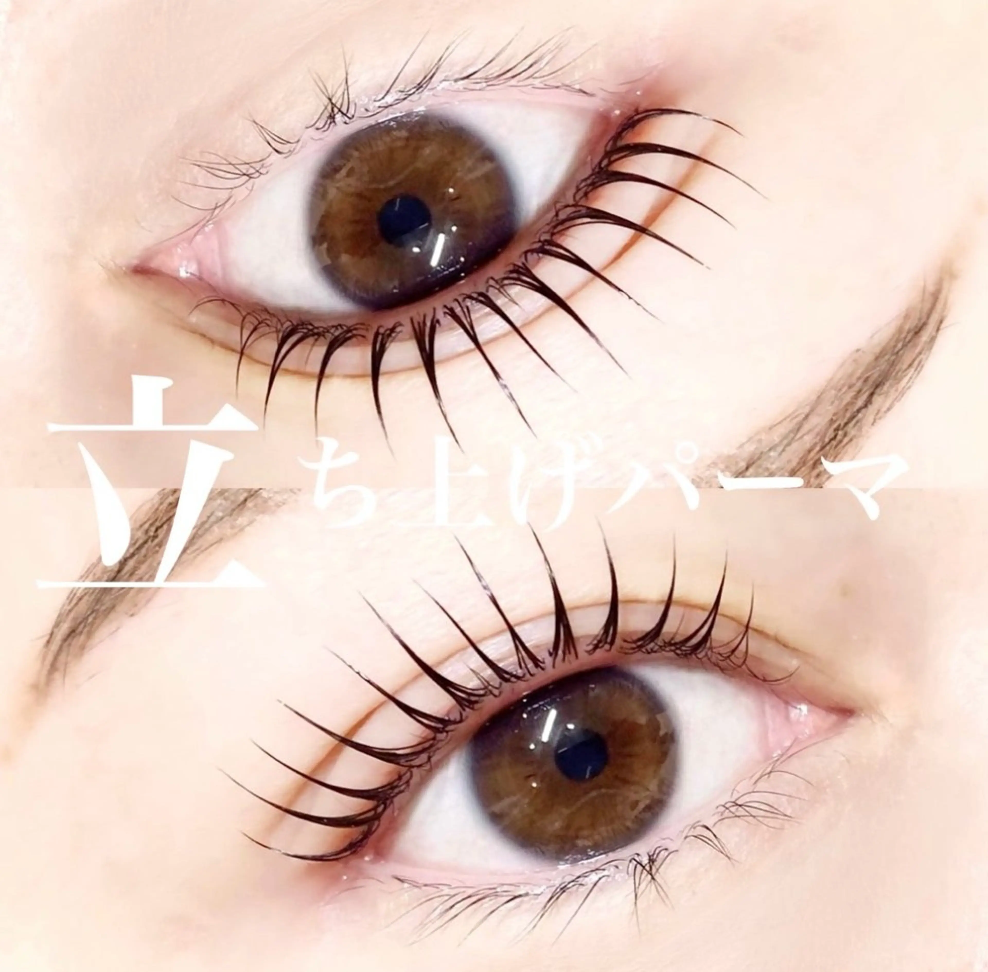 マツエク・マツパ etora eye 渋谷店🦋のマツエク・マツパデザイン