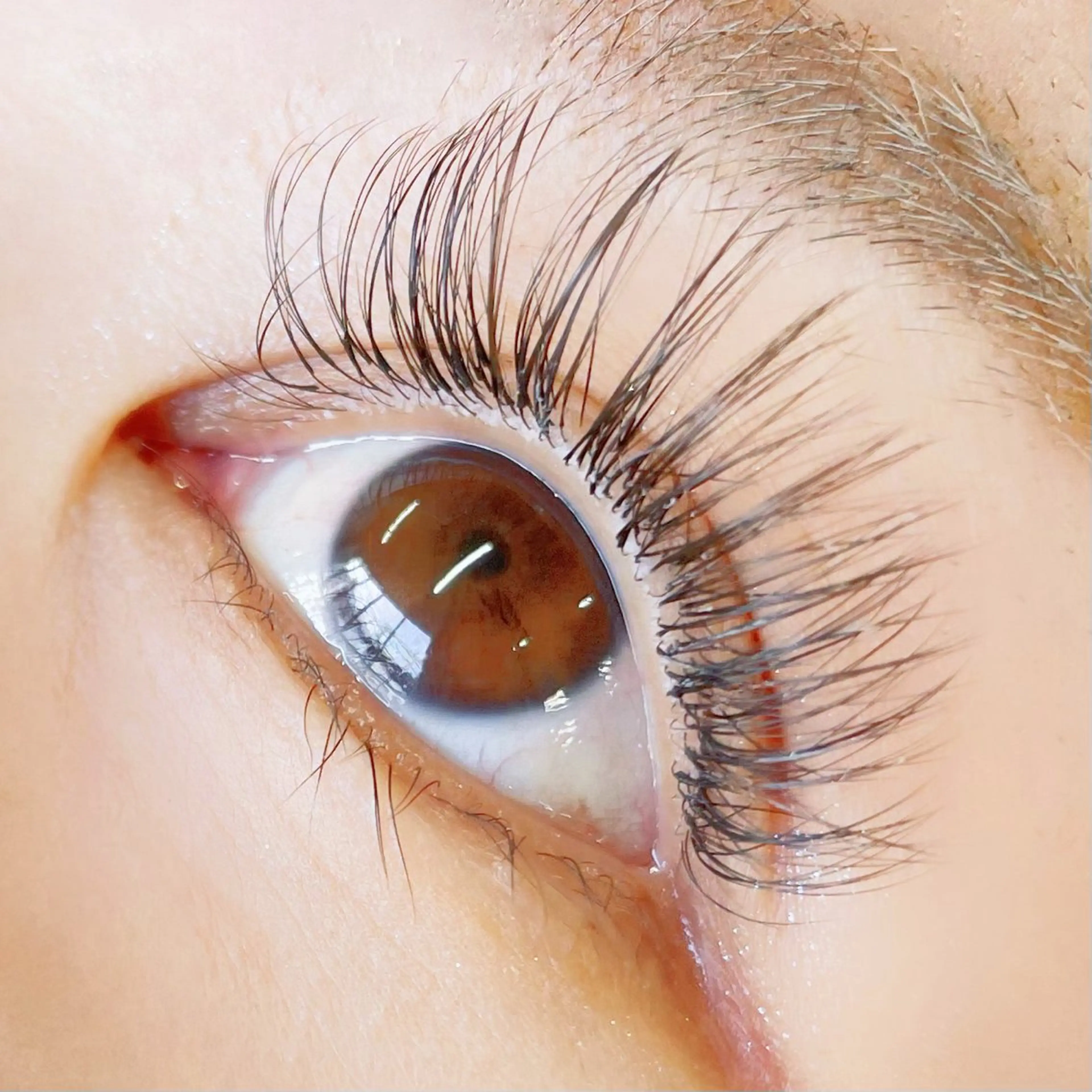 マツエク・マツパ ボリュームラッシュ お客様専用 🤍のマツエク・マツパデザイン