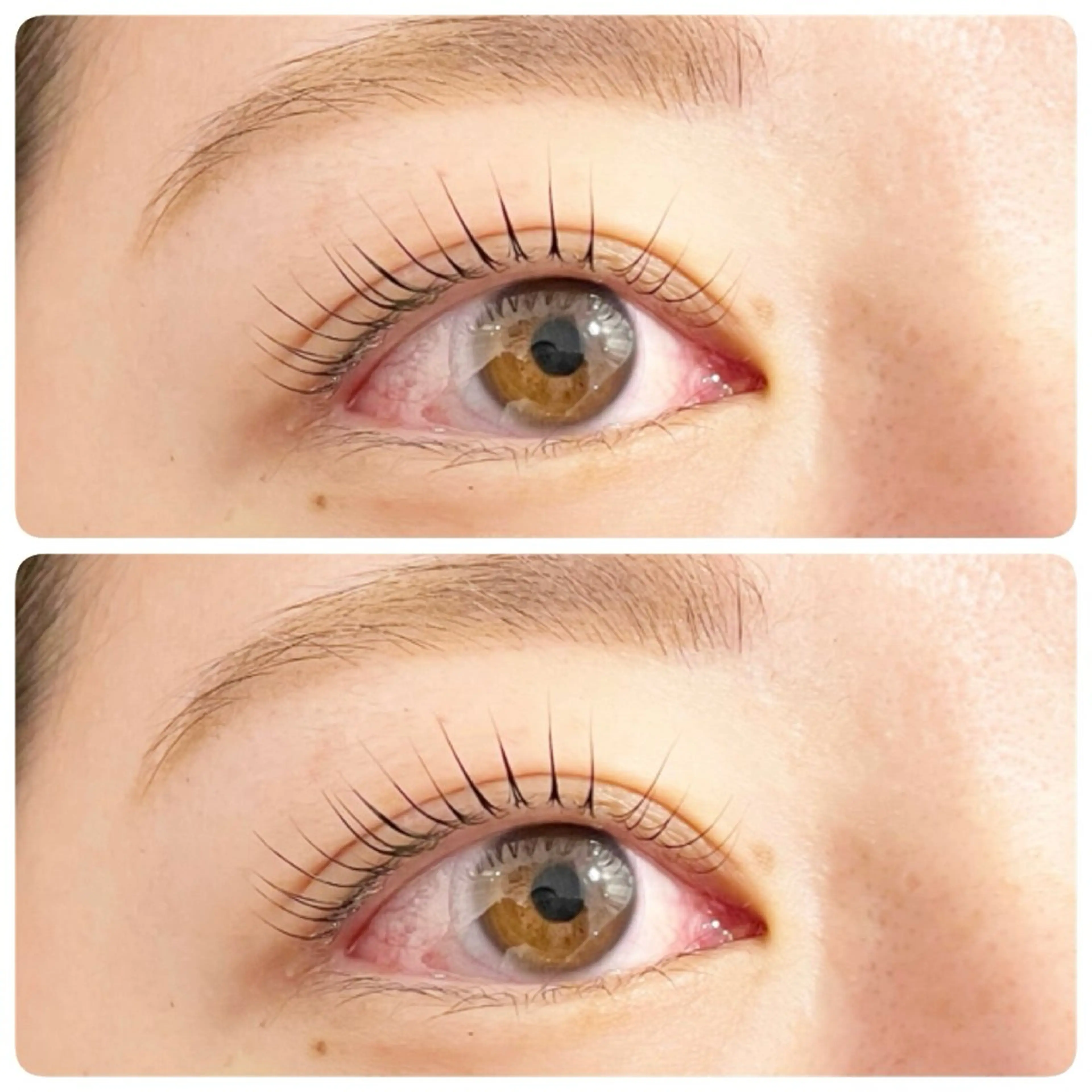 マツエク・マツパ マツパ Favori 井戸賀のマツエク・マツパデザイン