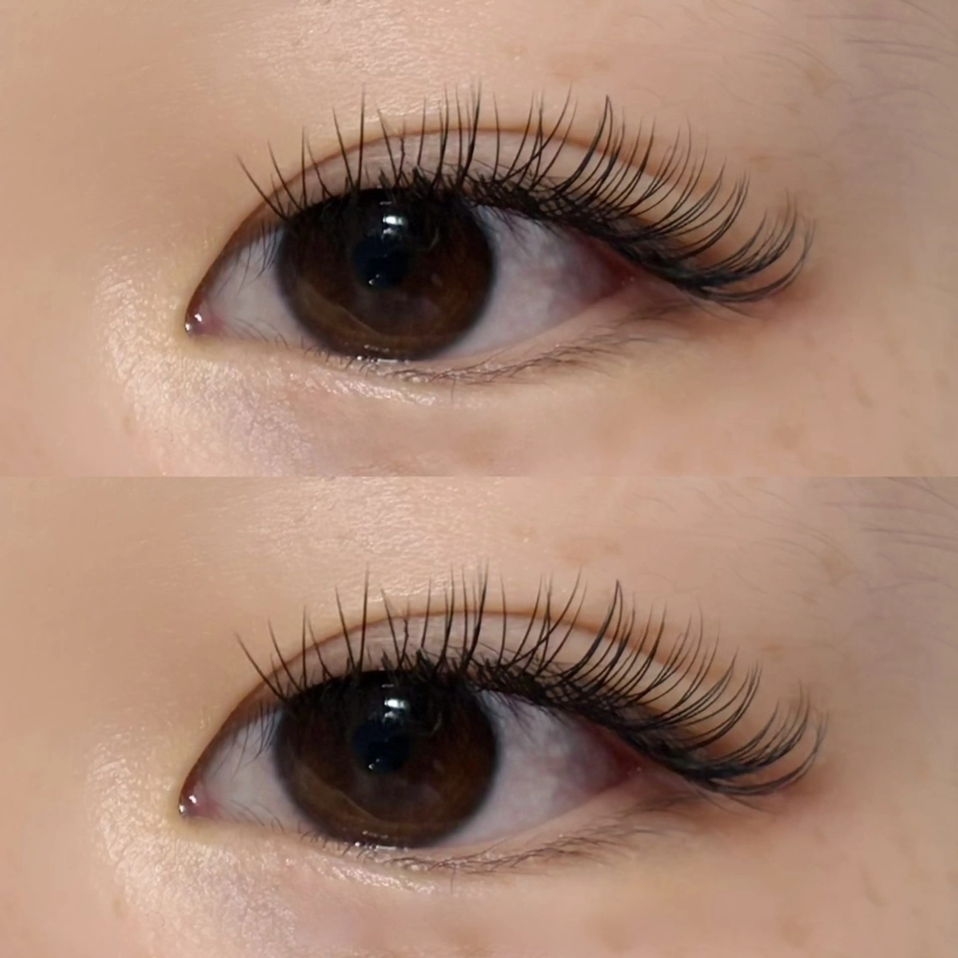 マツエク・マツパ キュート フェリス高橋 高橋の眉毛・アイブロウイメージ