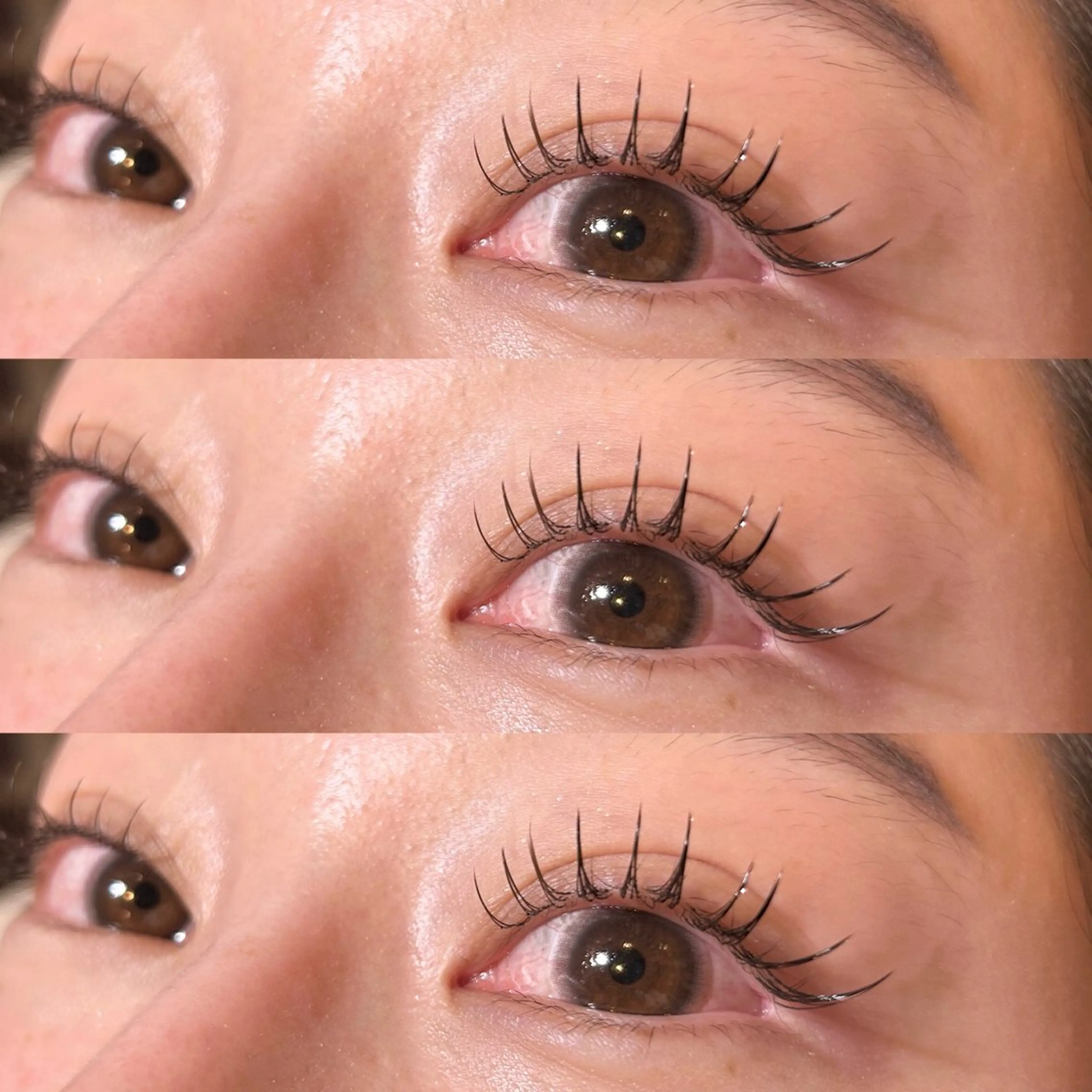 マツエク・マツパ フラットラッシュ 💘LeCheris s.渋谷店💘の眉毛・アイブロウイメージ