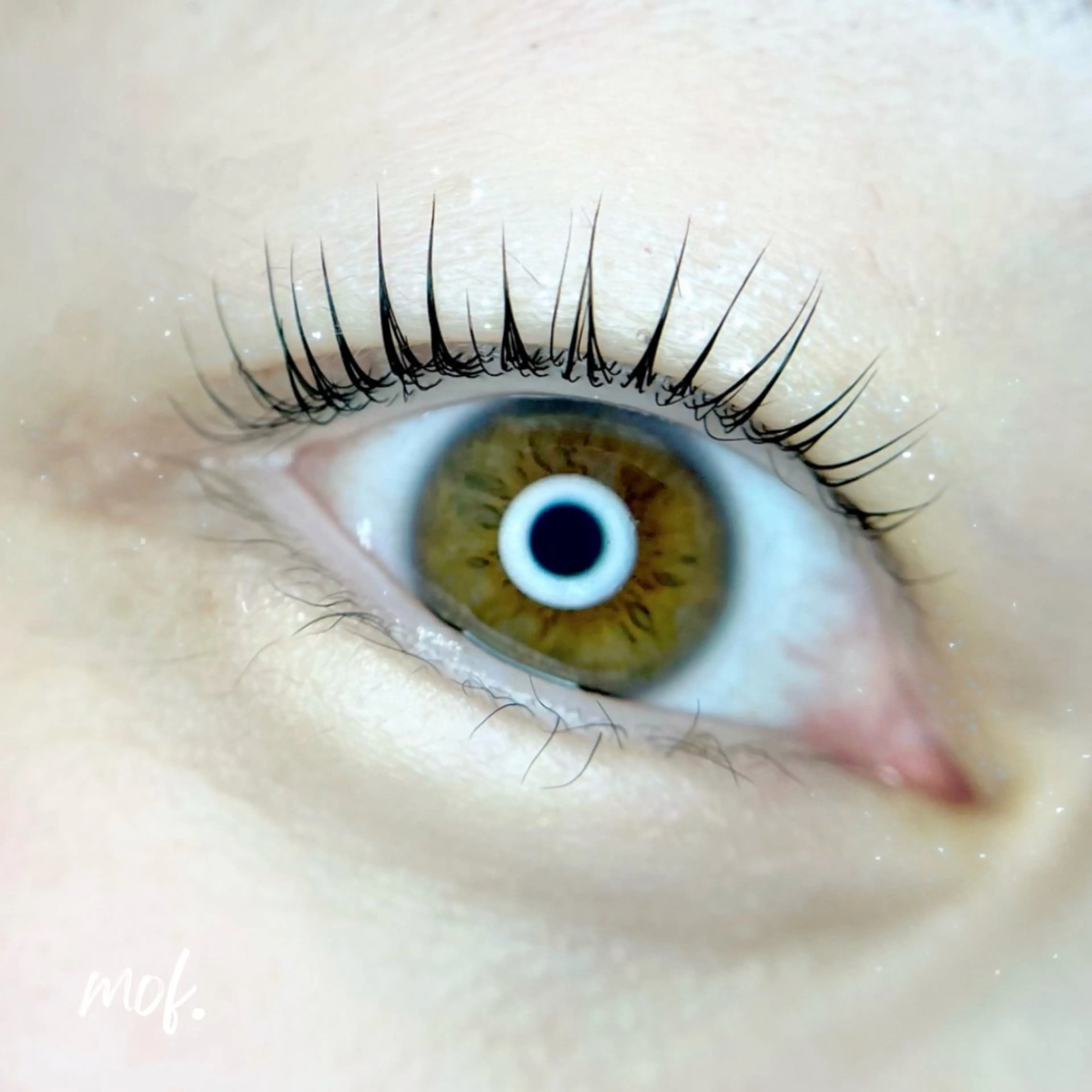 マツエク・マツパ まつげパーマ mof.(モフ) Horieのその他イメージ