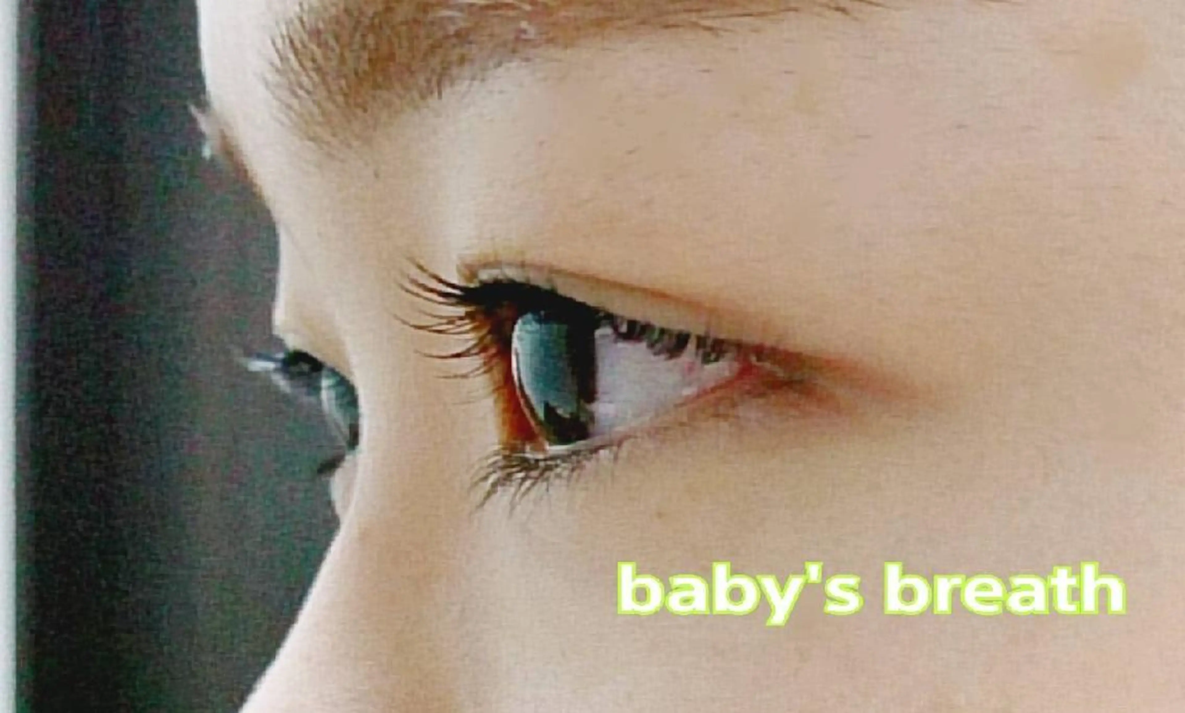 マツエク・マツパ baby's breathのマツエク・マツパデザイン