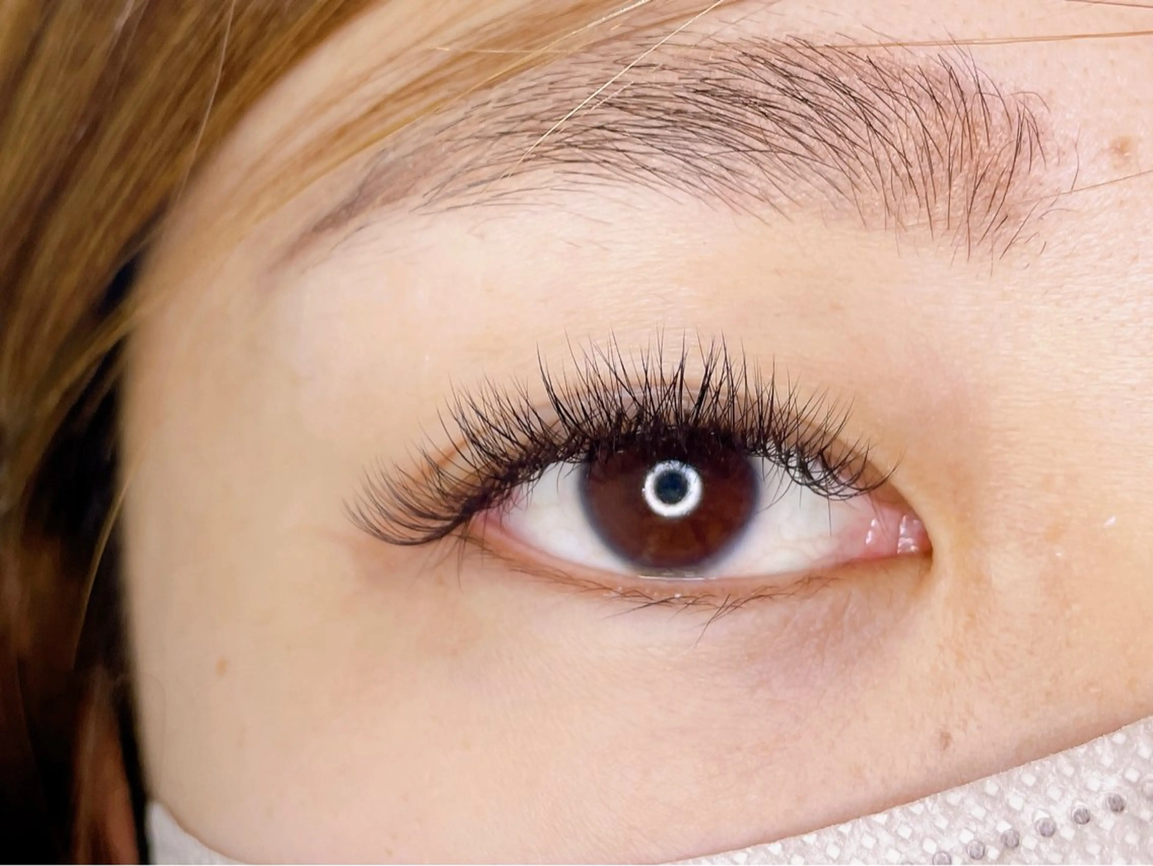 マツエク・マツパ キュート Dカール ボリュームラッシュ マツエク AYA 【eyelash】のマツエク・マツパデザイン