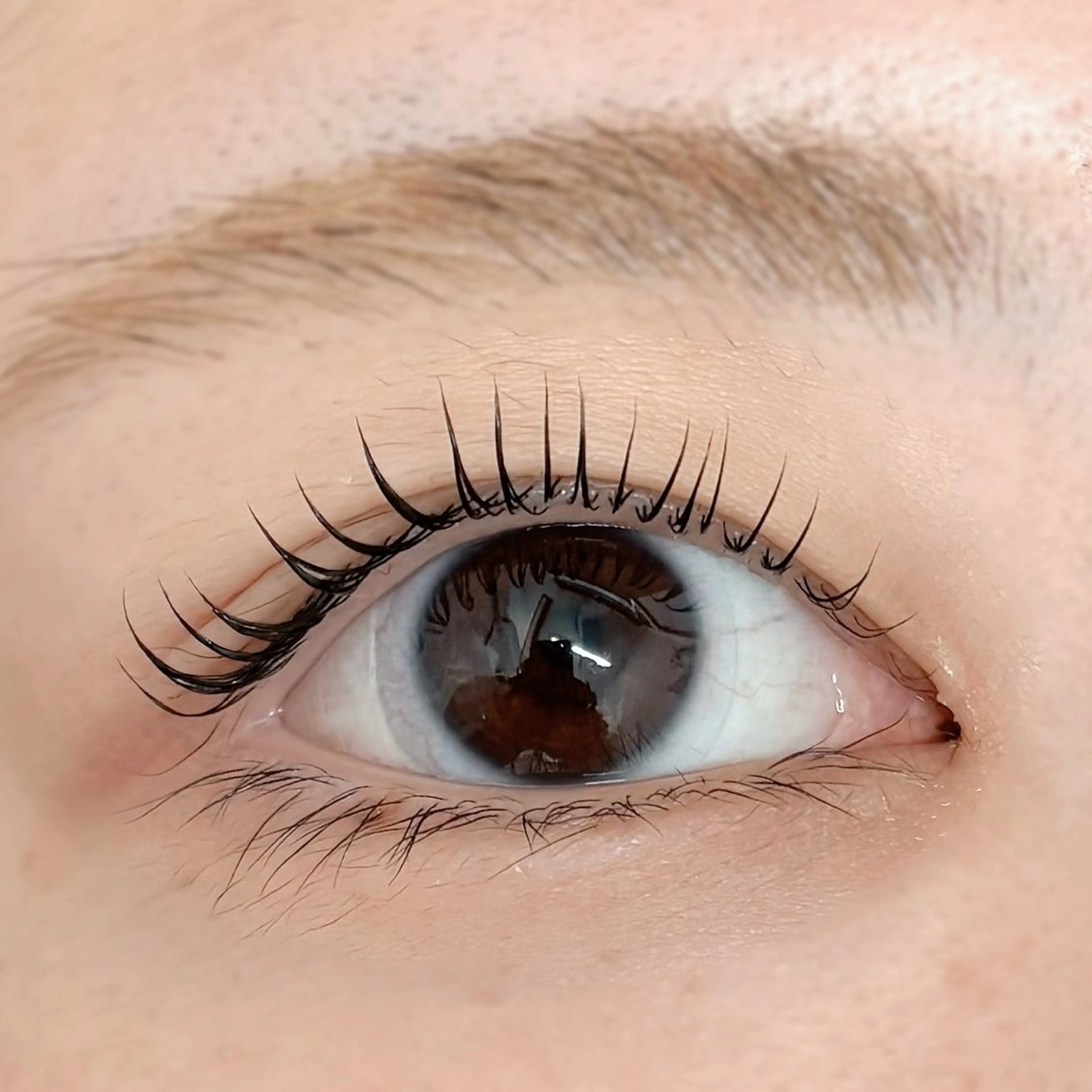 マツエク・マツパ マツパ ᴇʏᴇʟɪꜱᴛ🦋 𝐊𝐀𝐓𝐎のマツエク・マツパデザイン