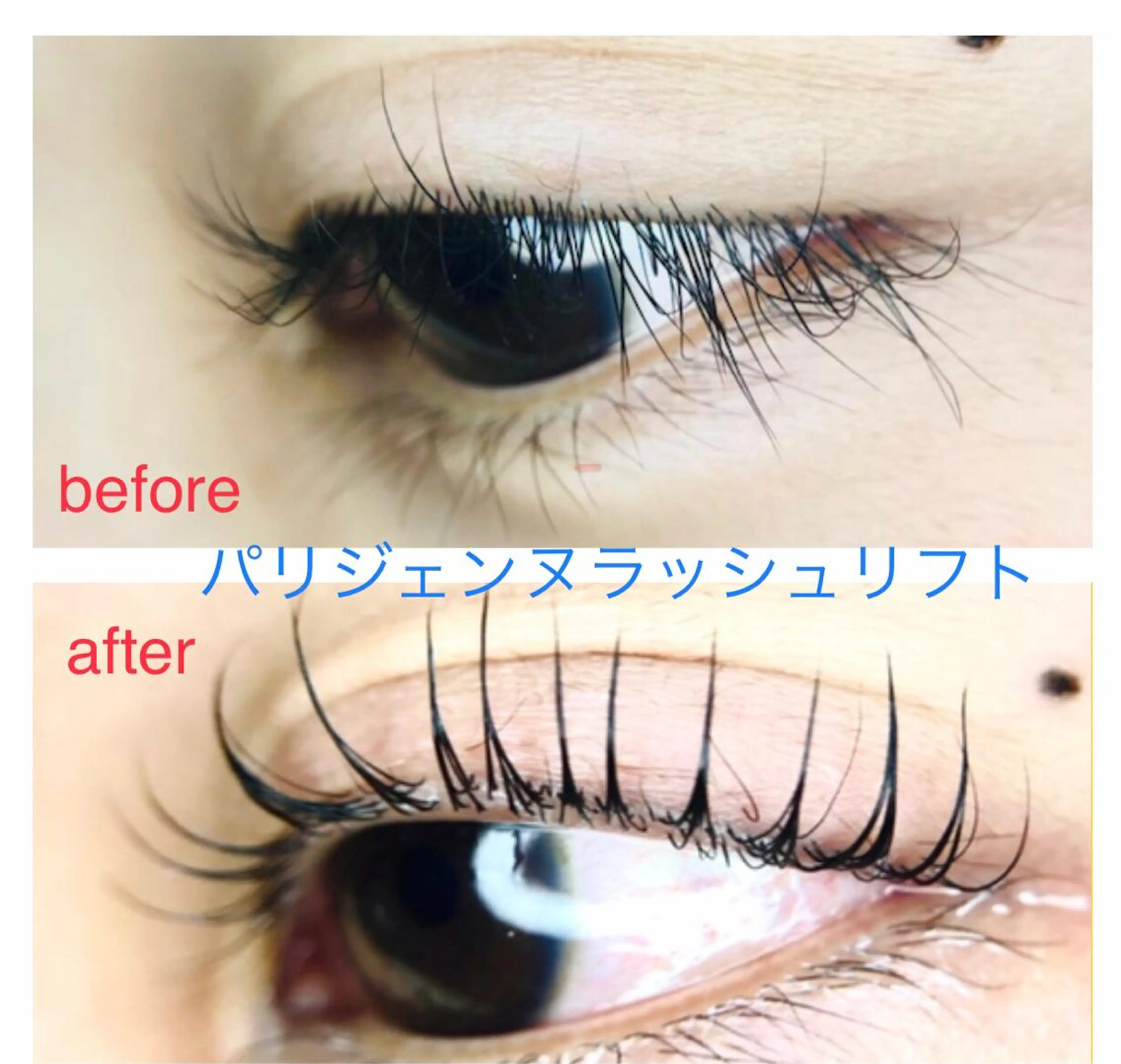 マツエク・マツパ パリジェンヌラッシュリフト マツパ リアン SAORIのマツエク・マツパデザイン