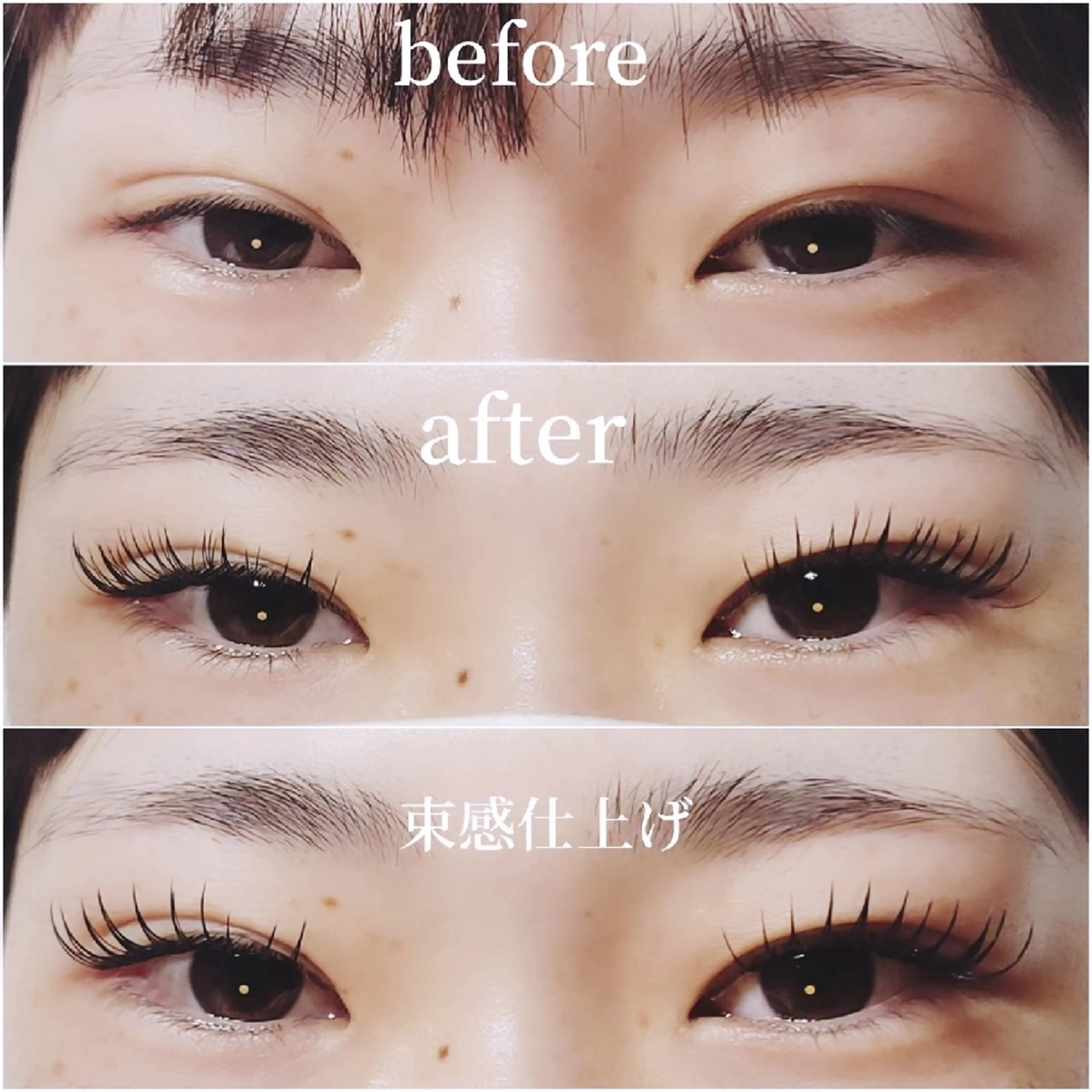 マツエク・マツパ 【Mola.】 eyelashのマツエク・マツパデザイン