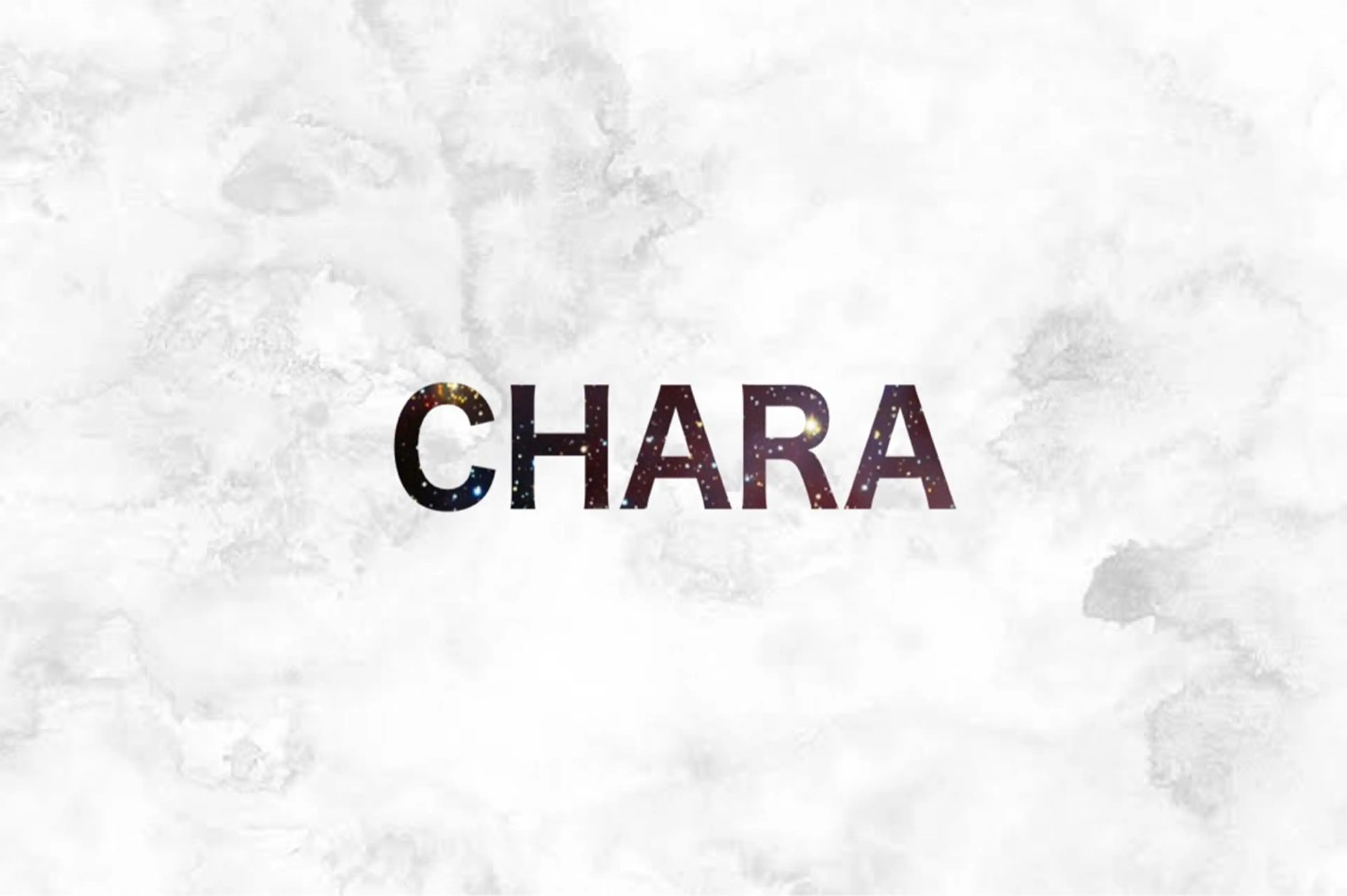 ロング カット ヘアカラー CHARA Chalone池袋店所属・髪質改善池袋𓊆 大士𓊇ダブルカラーのヘアスタイル