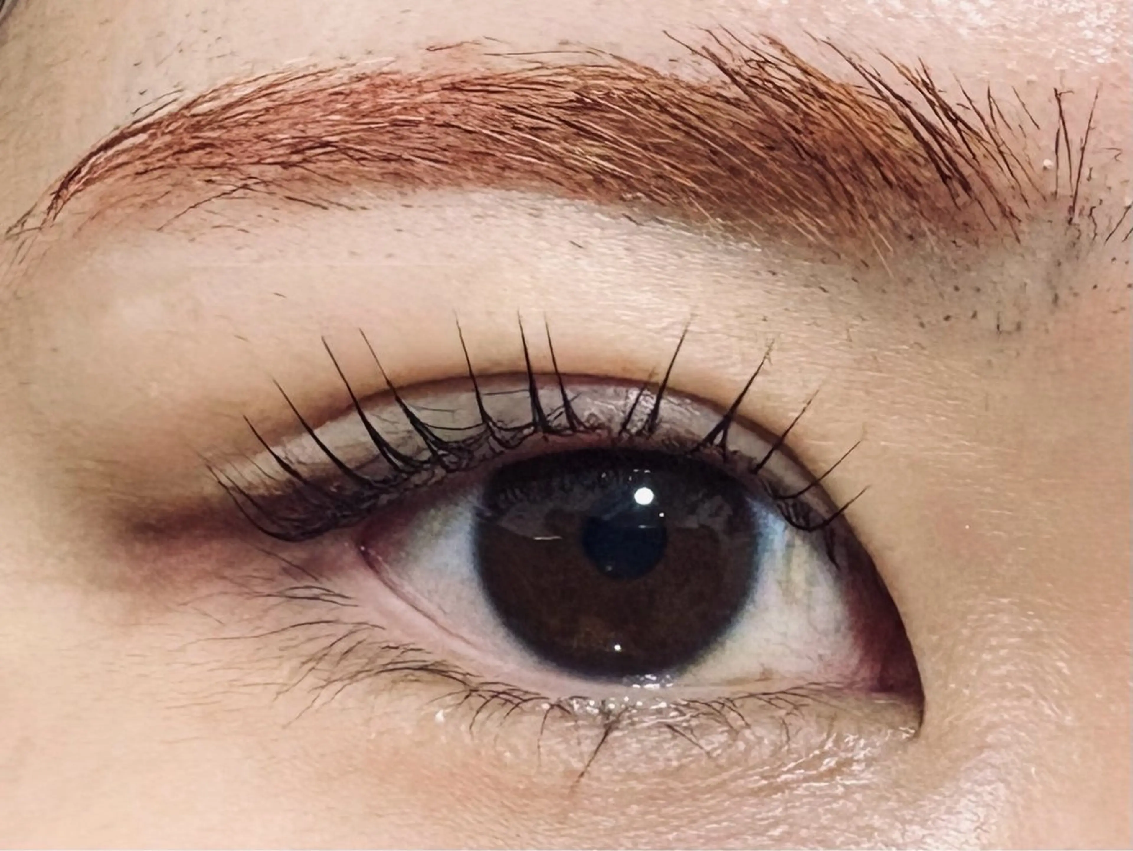 🩷パリジェンヌラッシュリフト🩷の写真