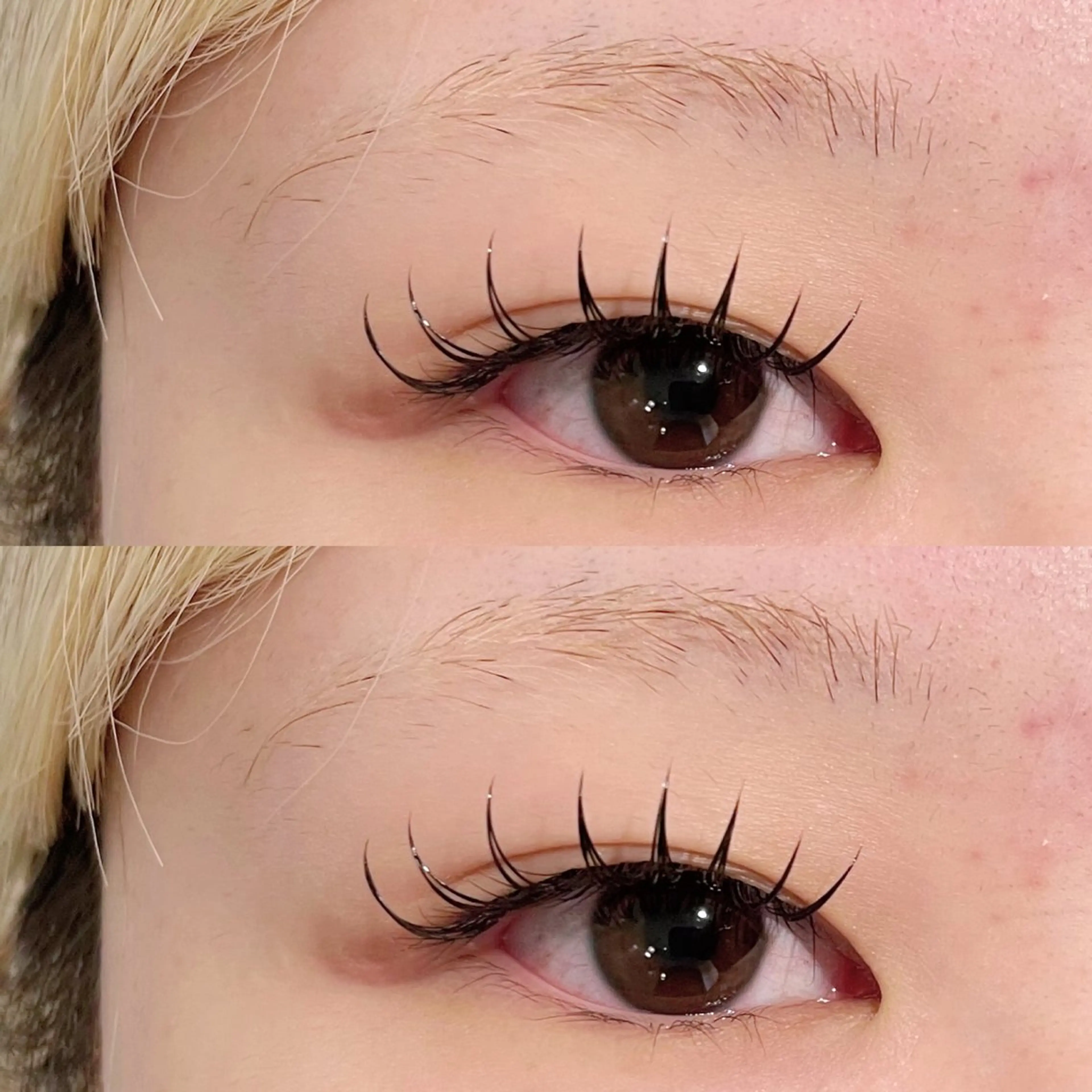 マツエク・マツパ Dカール re-born konomiのマツエク・マツパデザイン