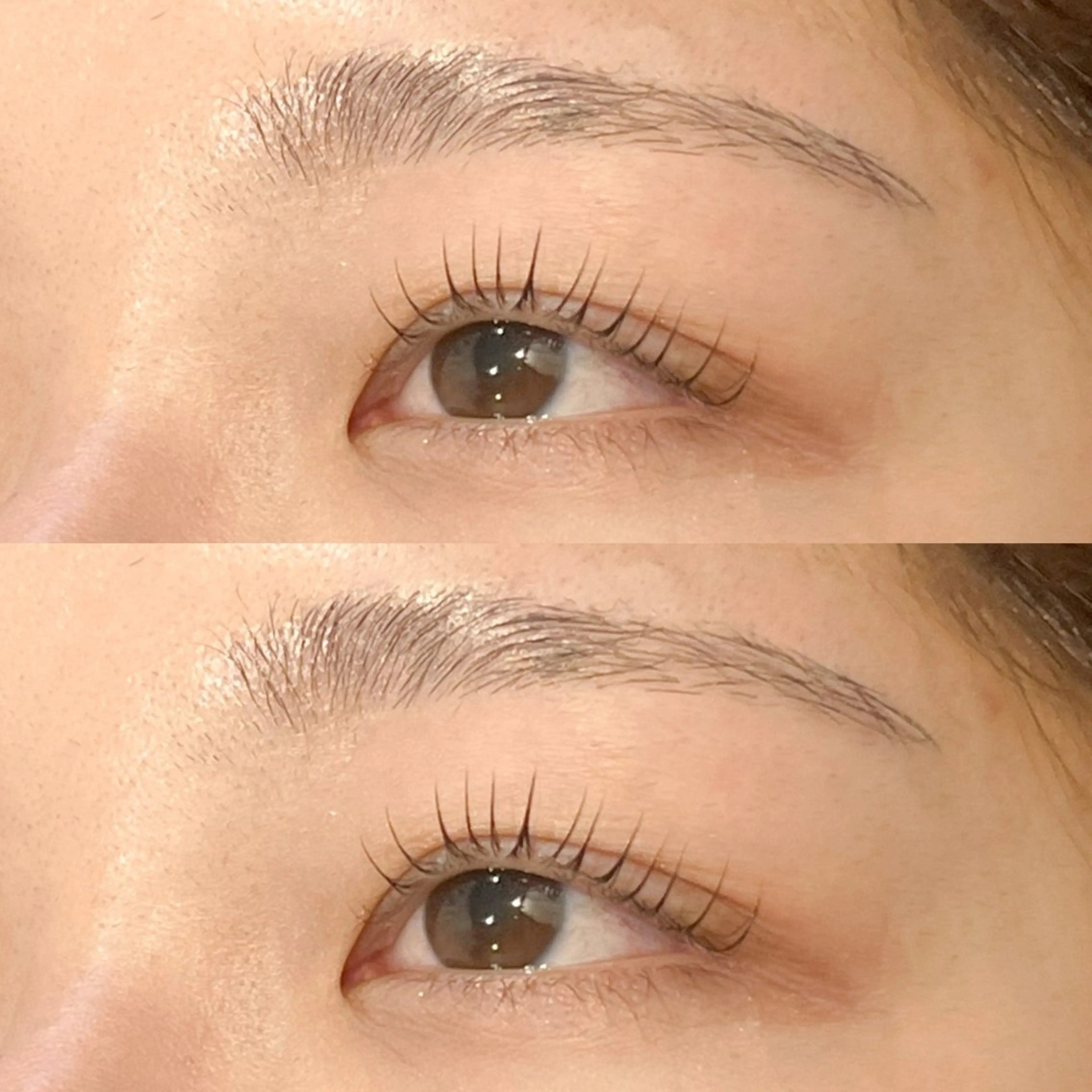 🧜🏻‍♀️🪸マツパ&アイブロウ🪸🧜🏻‍♀️  🇰🇷韓国ロッドorパリジェンヌお選び頂けます❕の写真