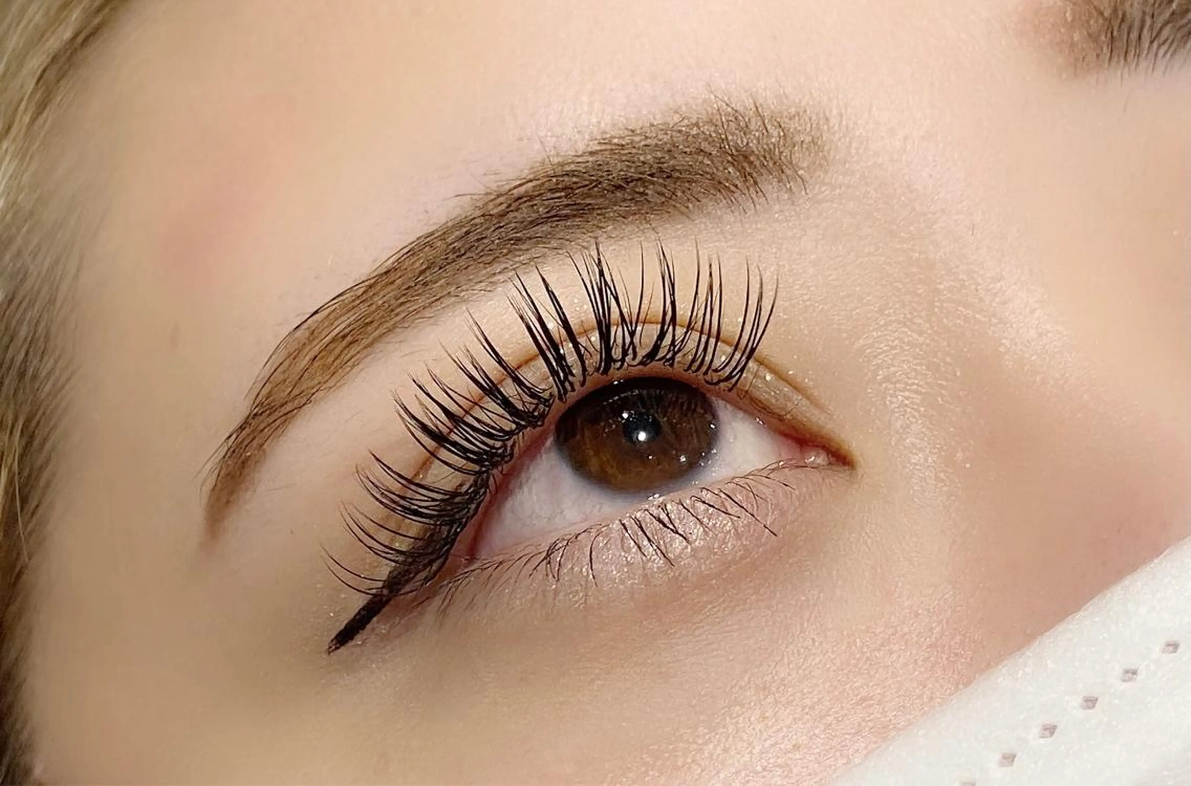 【リピート率No.1】♥️ダブルフラットラッシュ60束♥️の写真